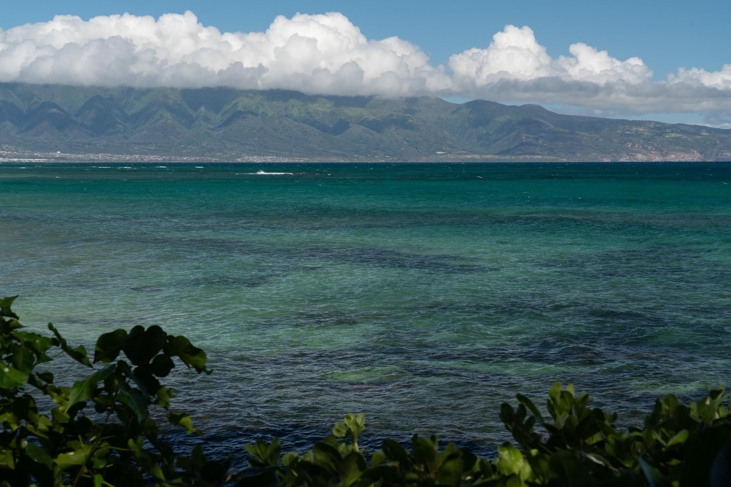 23  Nalu Pl Paia Town, Spreckelsville/Paia/Kuau home - photo 38 of 48