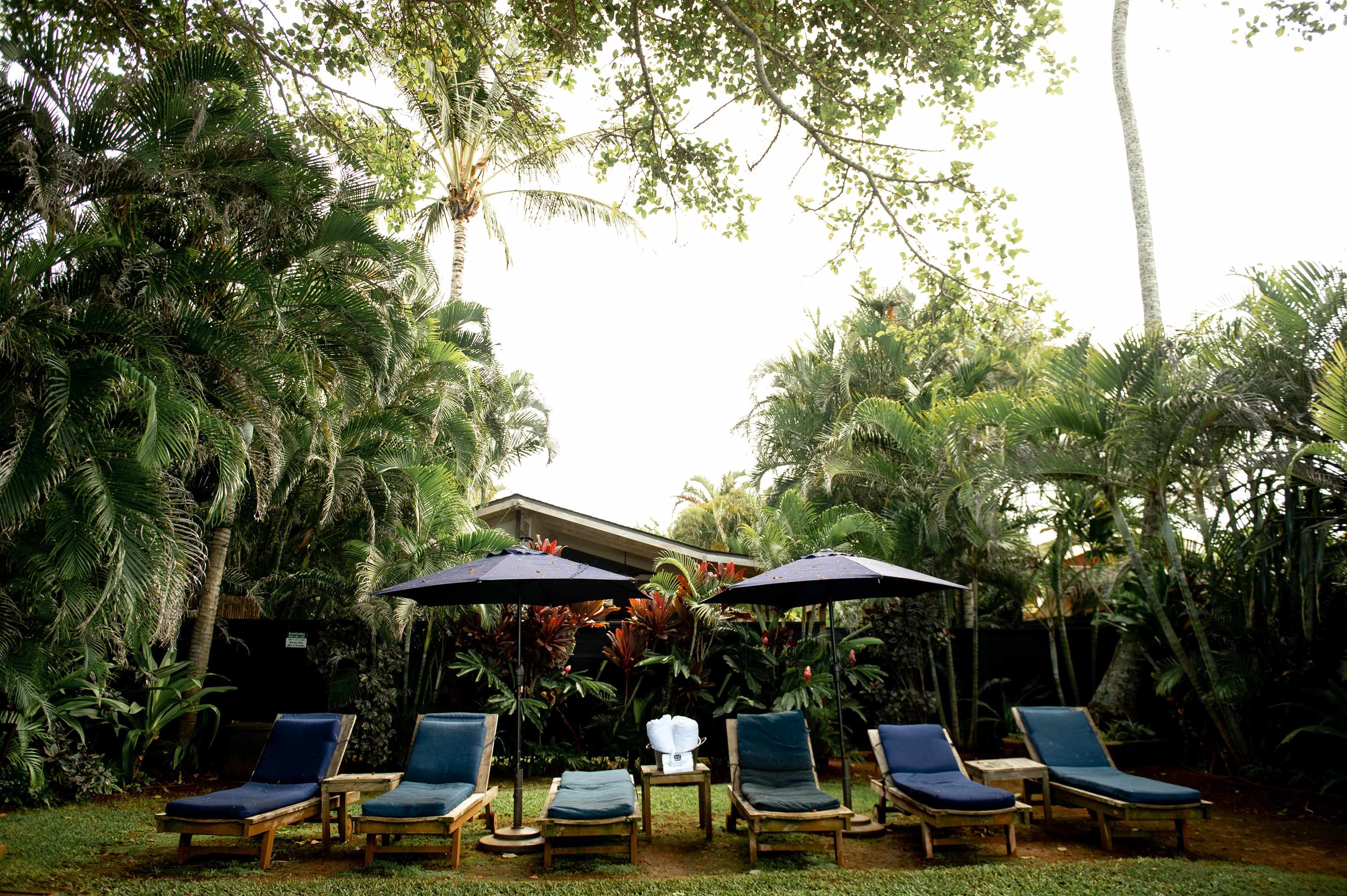 23  Nalu Pl Paia Town, Spreckelsville/Paia/Kuau home - photo 39 of 48