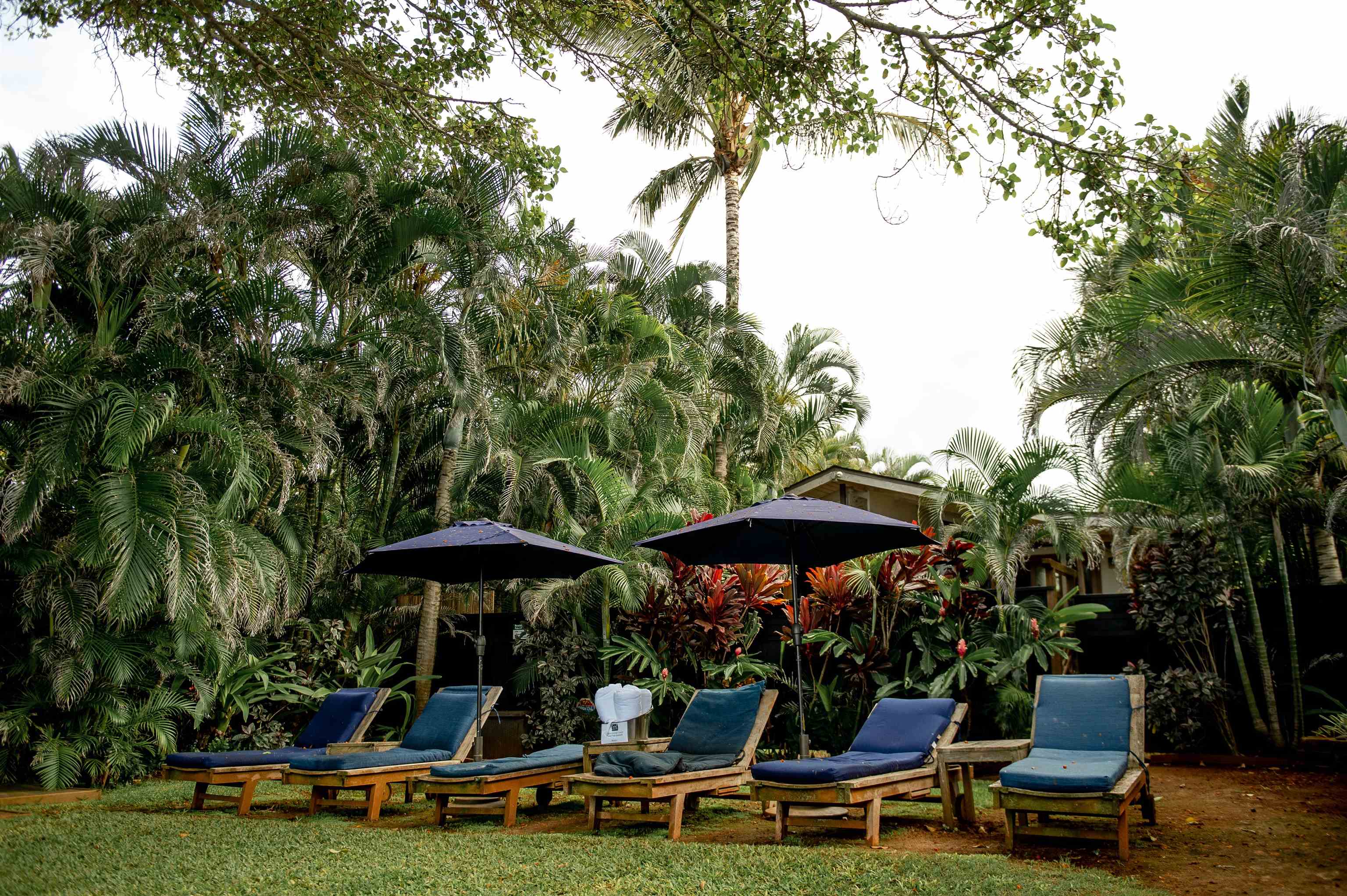 23  Nalu Pl Paia Town, Spreckelsville/Paia/Kuau home - photo 40 of 48