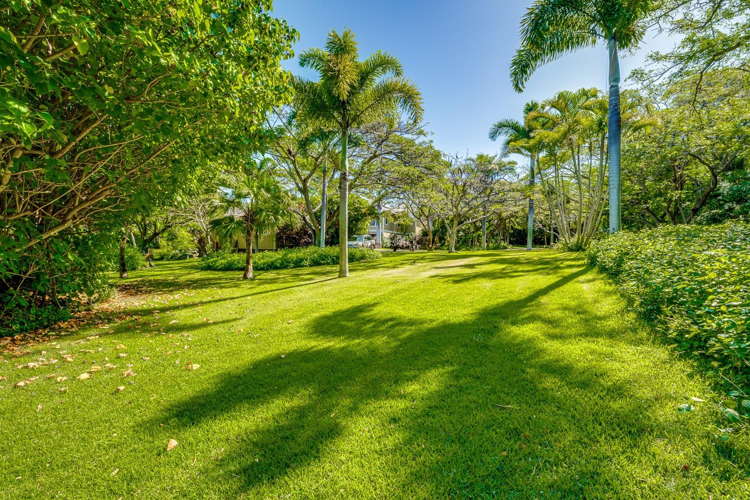 23  Nonohe Pl , Spreckelsville/Paia/Kuau home - photo 4 of 12