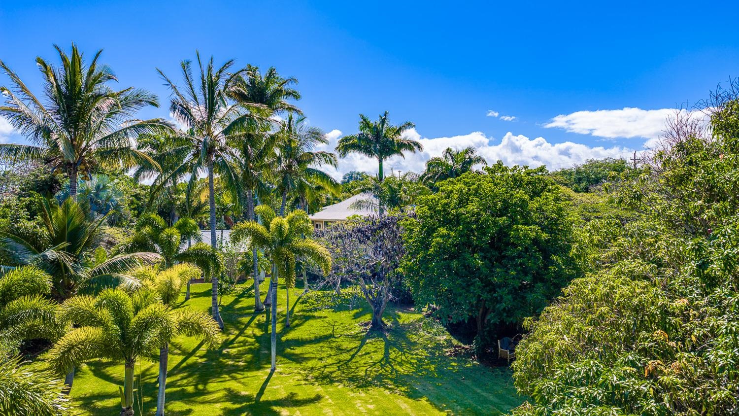 23  Nonohe Pl , Spreckelsville/Paia/Kuau home - photo 6 of 12