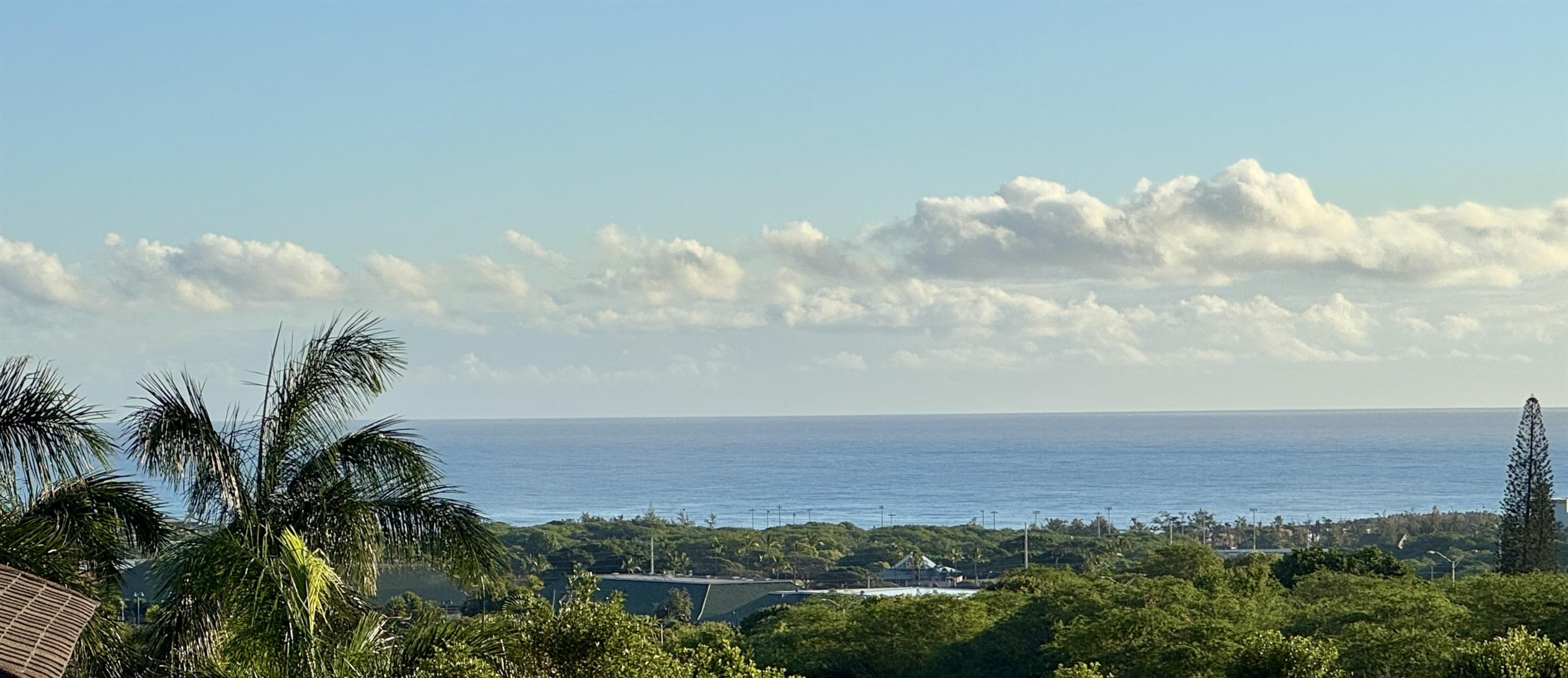 23  Onekea Pl , Wailuku home - photo 31 of 32