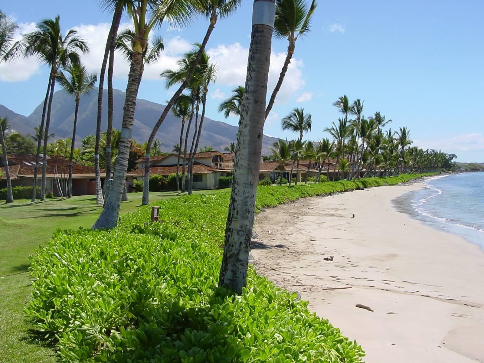 Puamana condo # 23-2, Lahaina, Hawaii - photo 16 of 23