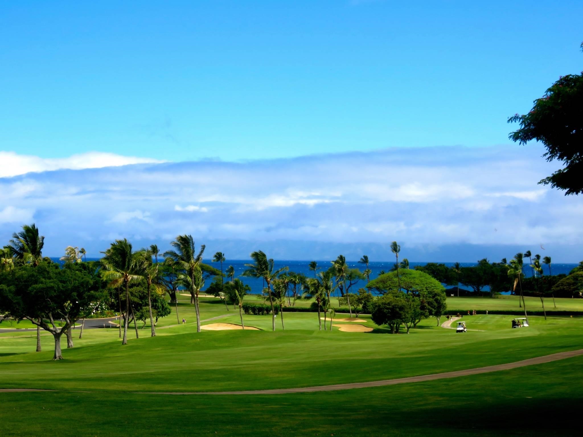 Puamana condo # 23-2, Lahaina, Hawaii - photo 19 of 23