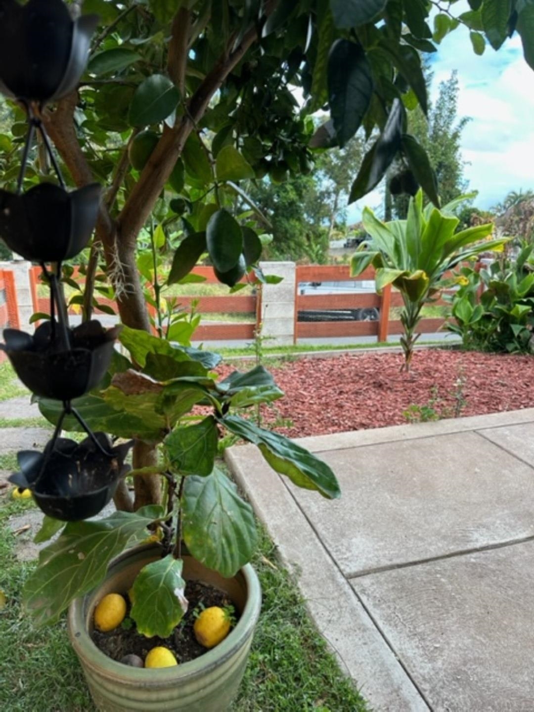 230  Ainakula Rd , Kula/Ulupalakua/Kanaio home - photo 36 of 50