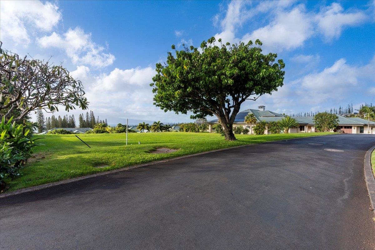 230 Crestview Rd 15 Lahaina, Hi vacant land for sale - photo 2 of 14