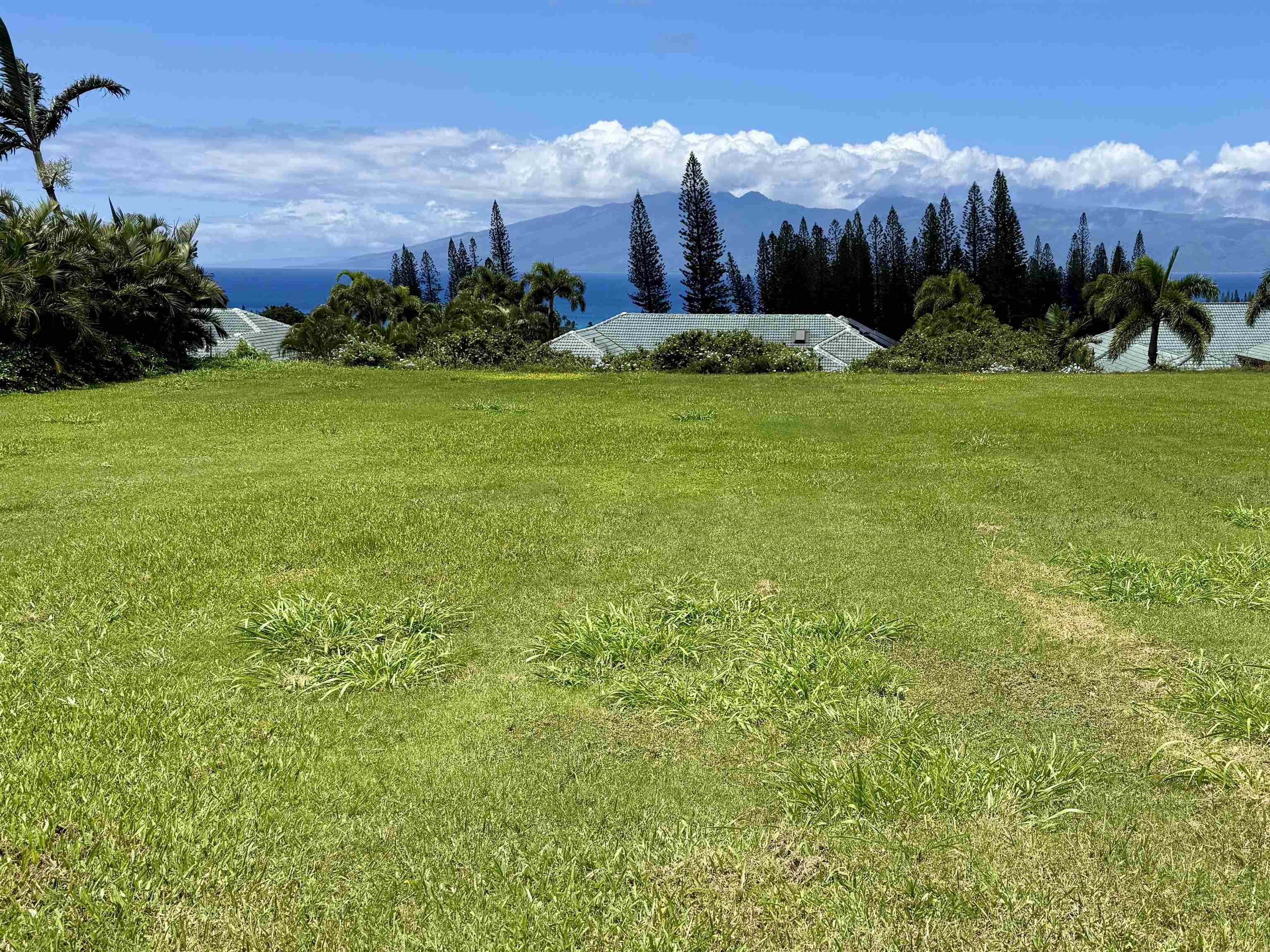 230 Crestview Rd Kapalua  - photo 4 of 20
