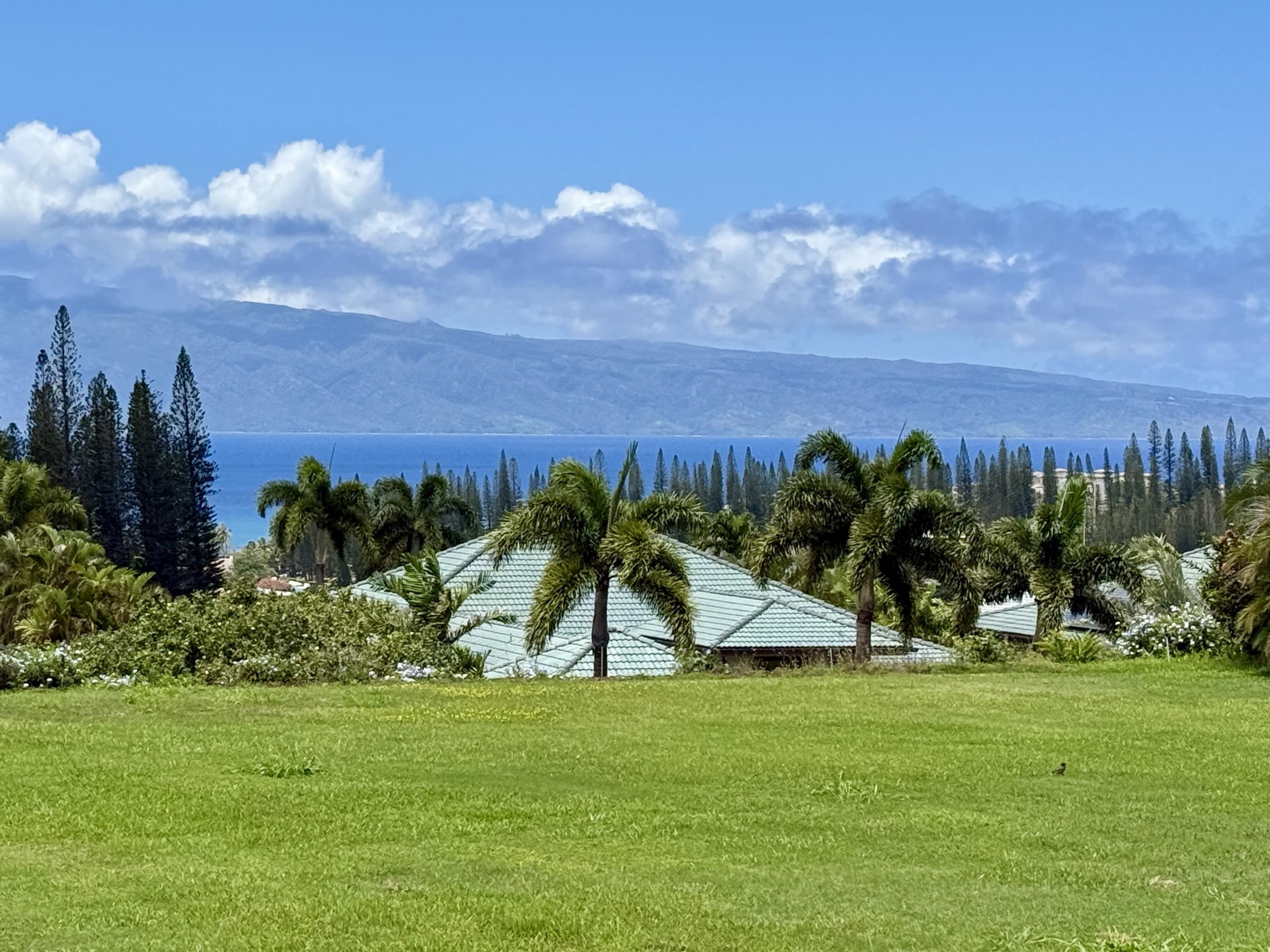 230 Crestview Rd Kapalua  - photo 5 of 20