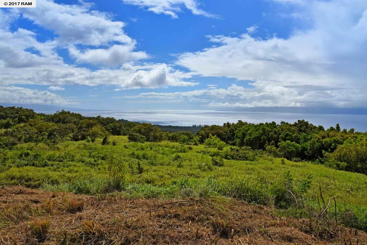 230  Keoawa St Kapalua Plantation, Kapalua home - photo 30 of 30