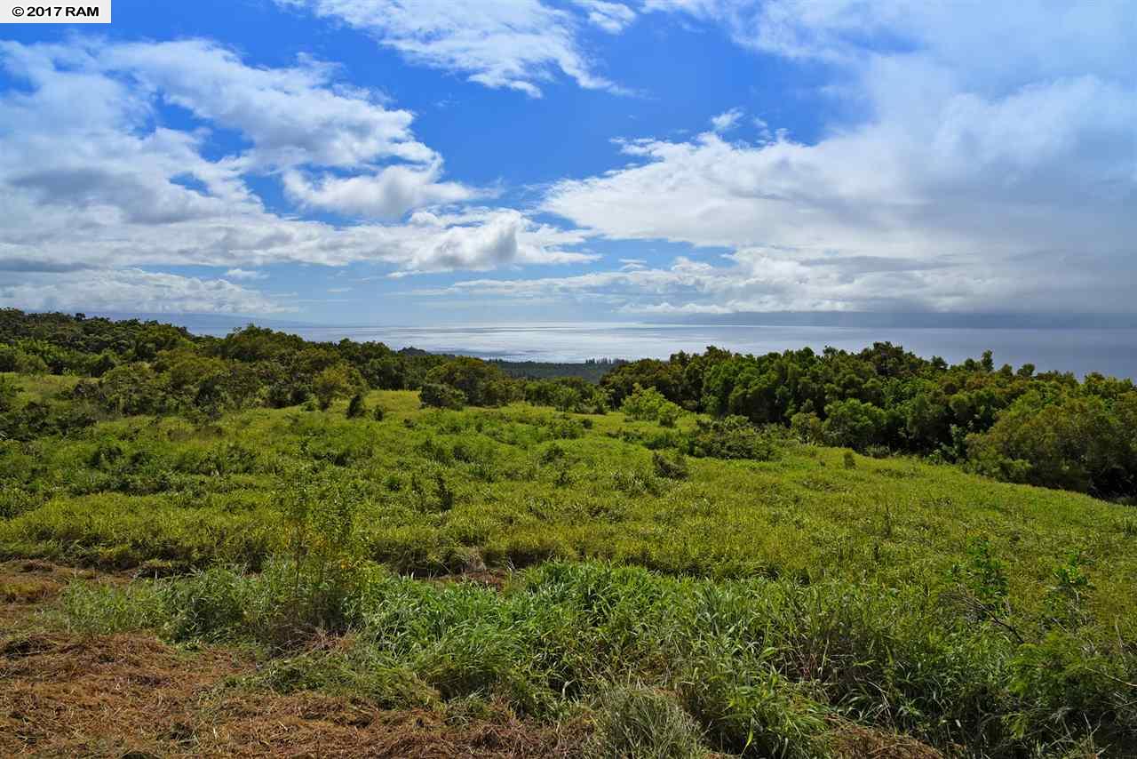 230  Keoawa St Kapalua Plantation, Kapalua home - photo 7 of 30