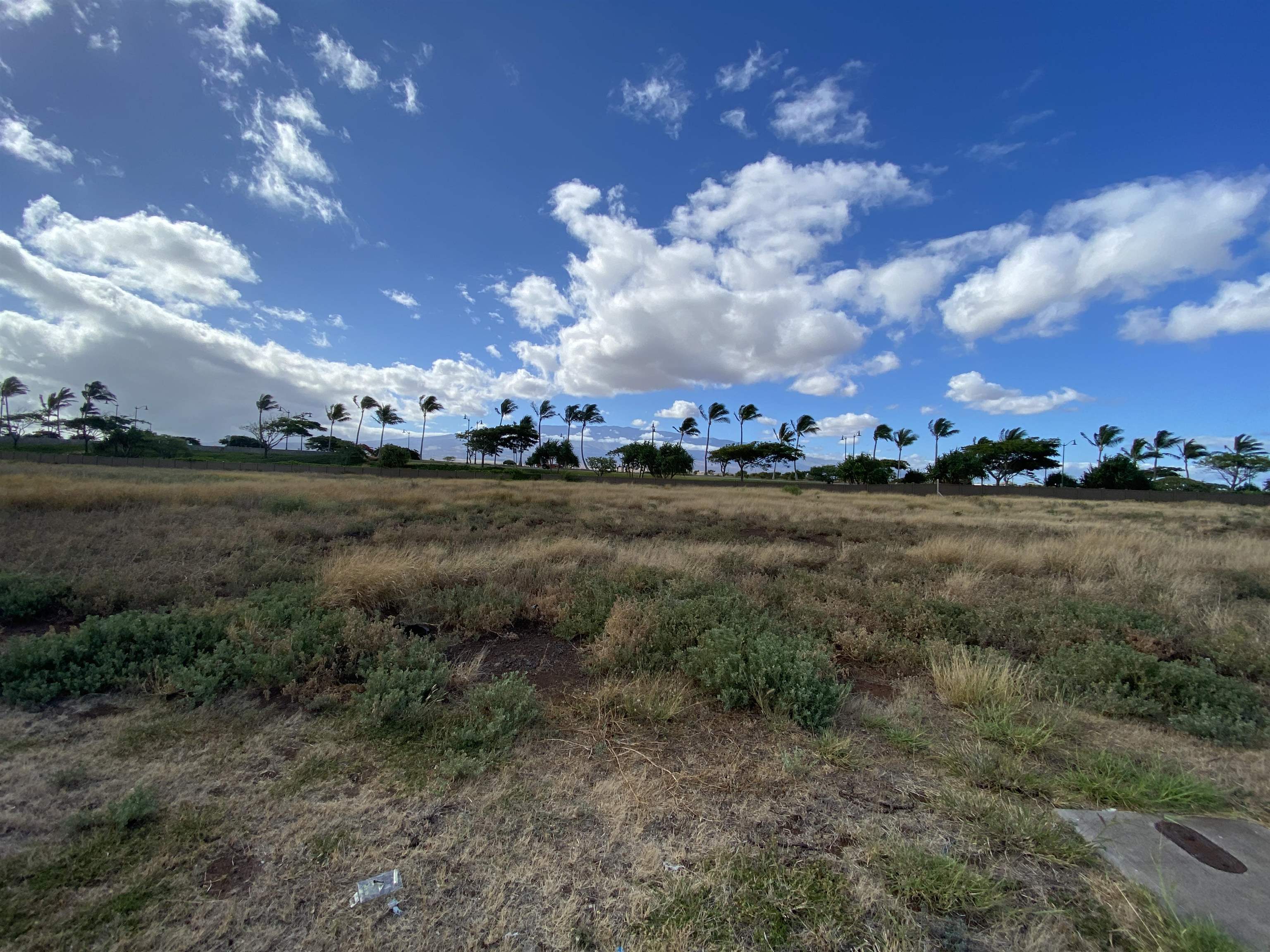 230 Lauo Loop 17A13 Airport Industrial, Kahului, Hi 96732 Maui Business Park North