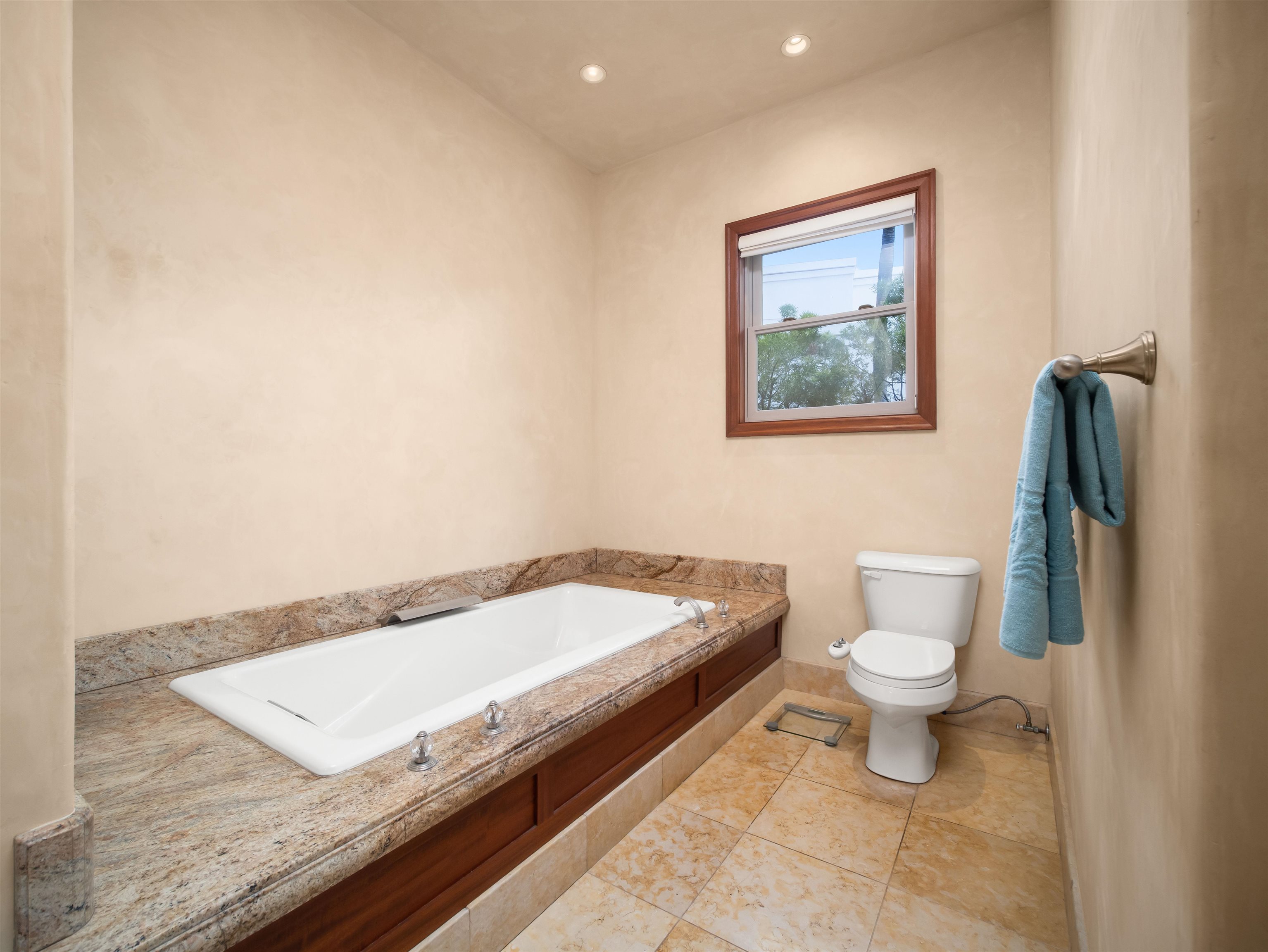 230  E Panana Pl Wailea Kialoa, Wailea/Makena home - photo 24 of 42