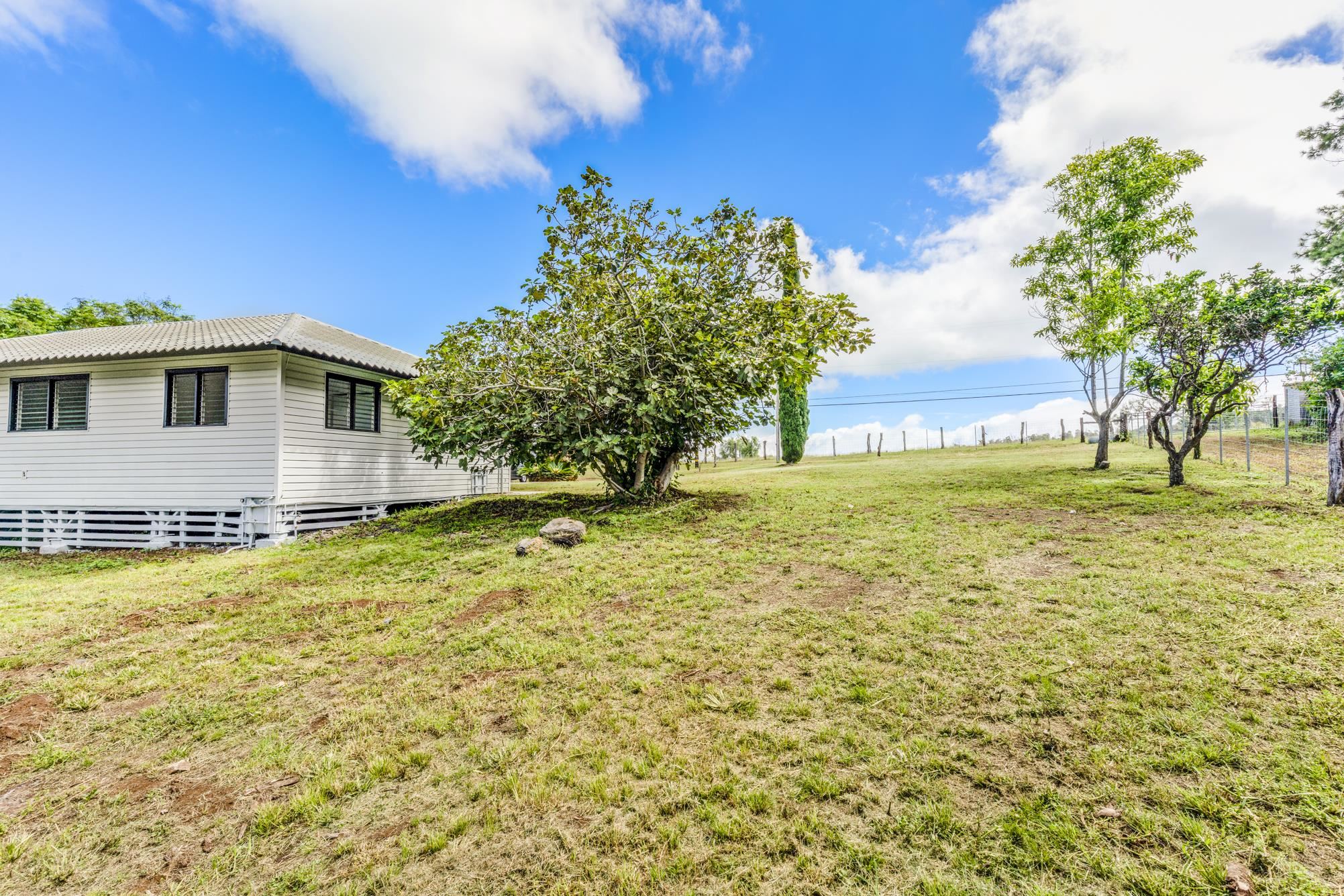 230  Pulehuiki Rd Pulehuiki-kamehmeiki Hmst, Kula/Ulupalakua/Kanaio home - photo 39 of 45
