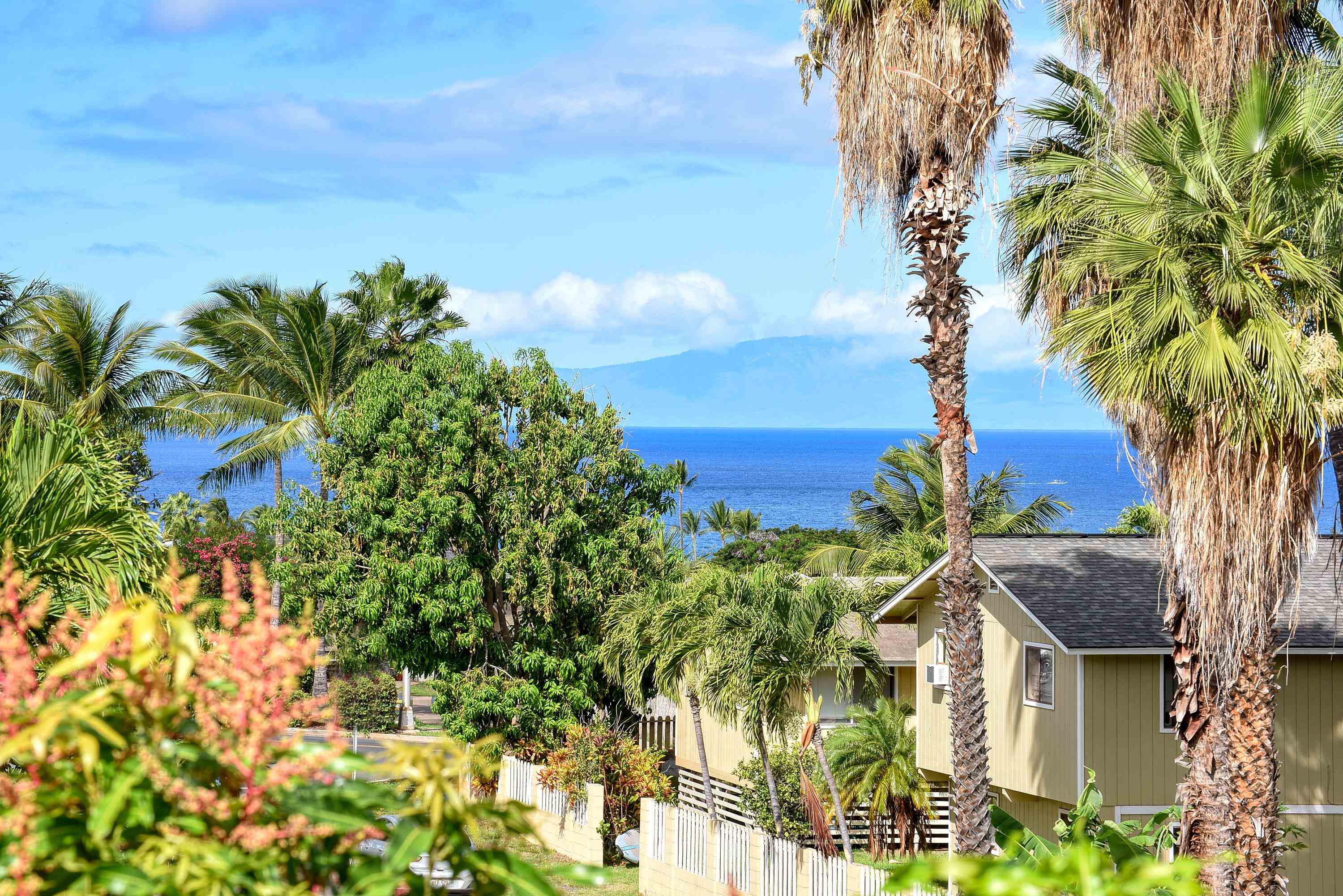 232  Aukahi St Keonekai, Kihei home - photo 2 of 31