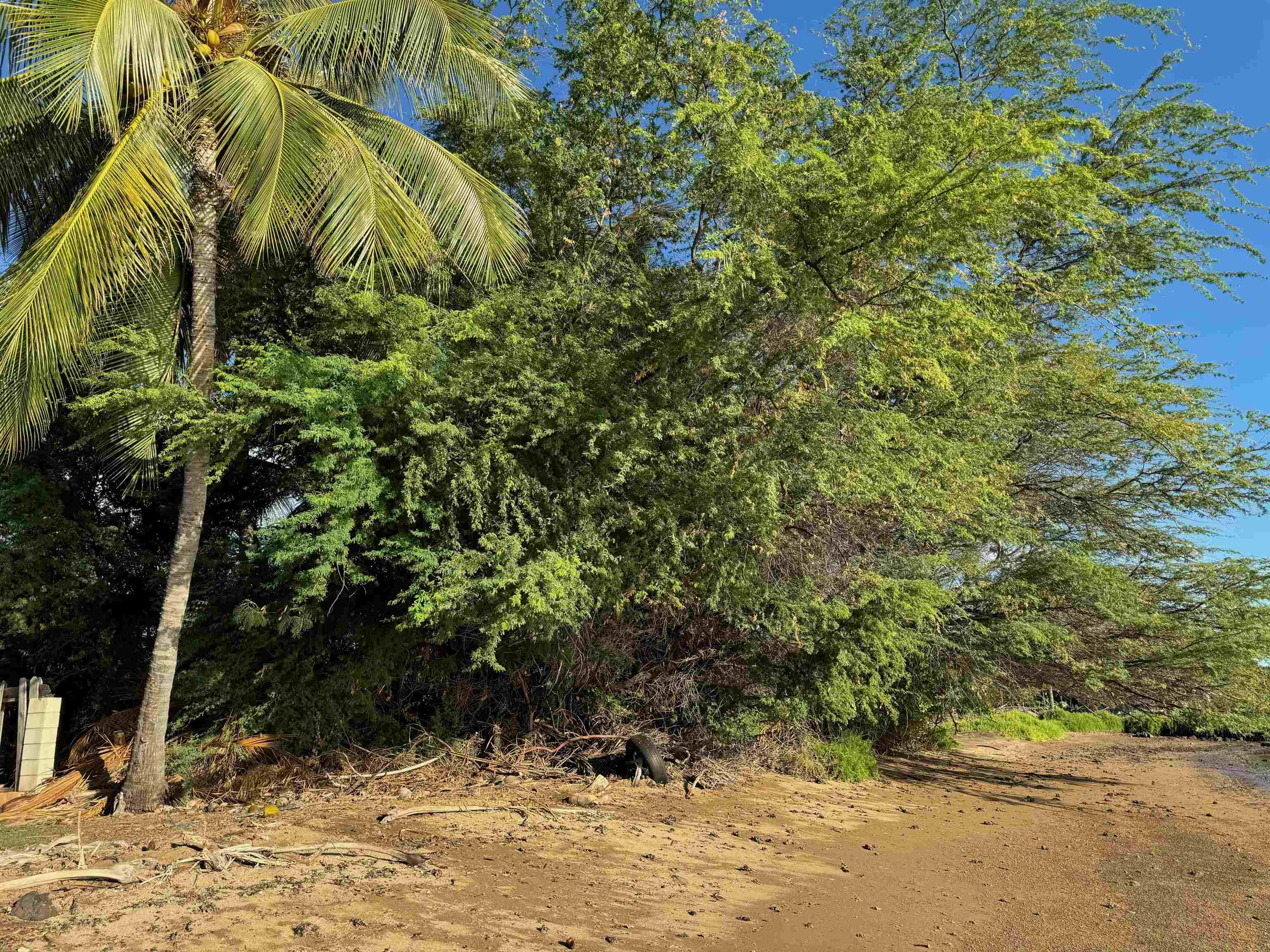 2334  Kamehameha V Hwy , Molokai home - photo 5 of 9