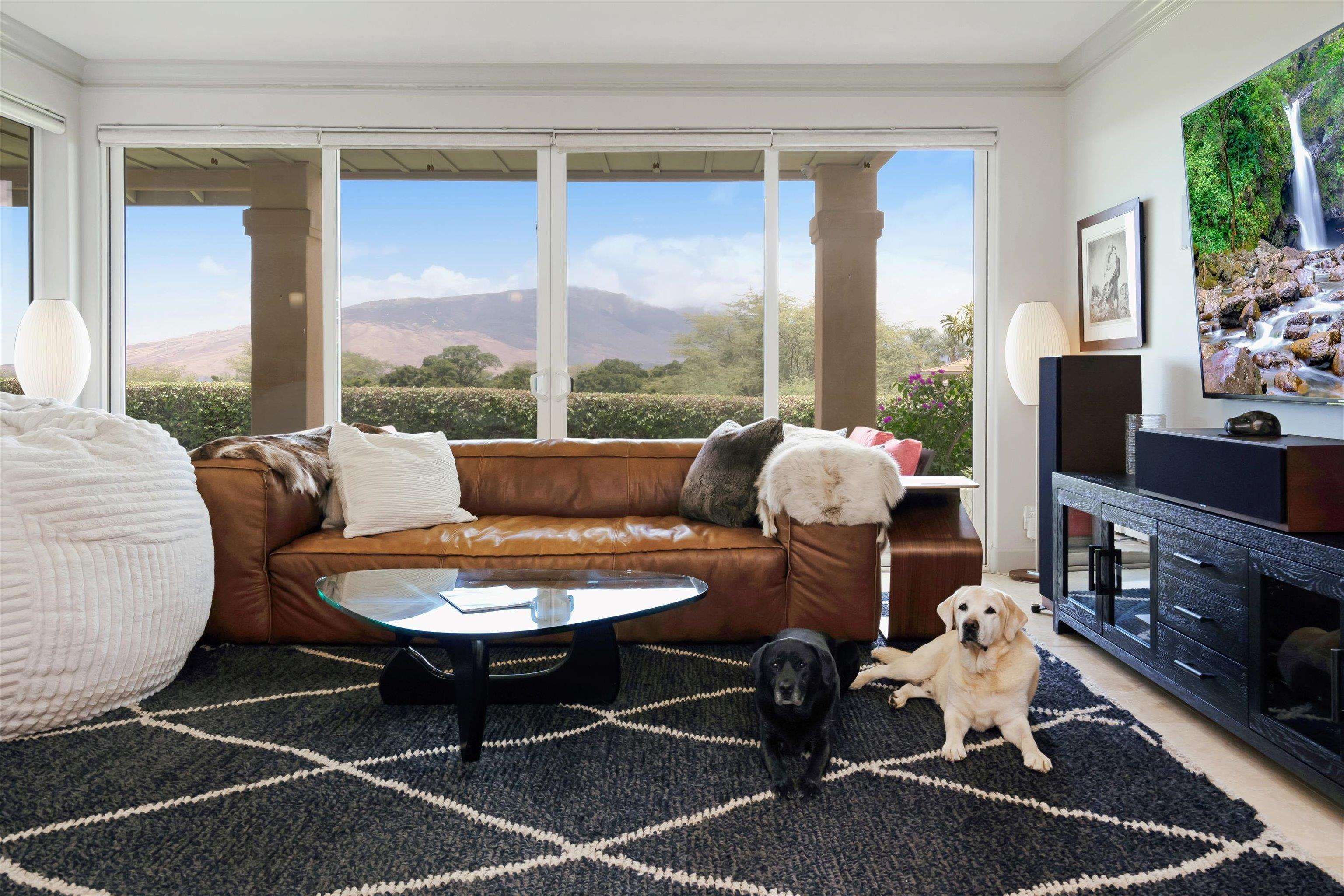 Hokulani Golf Villas condo # 117, Kihei, Hawaii - photo 7 of 49