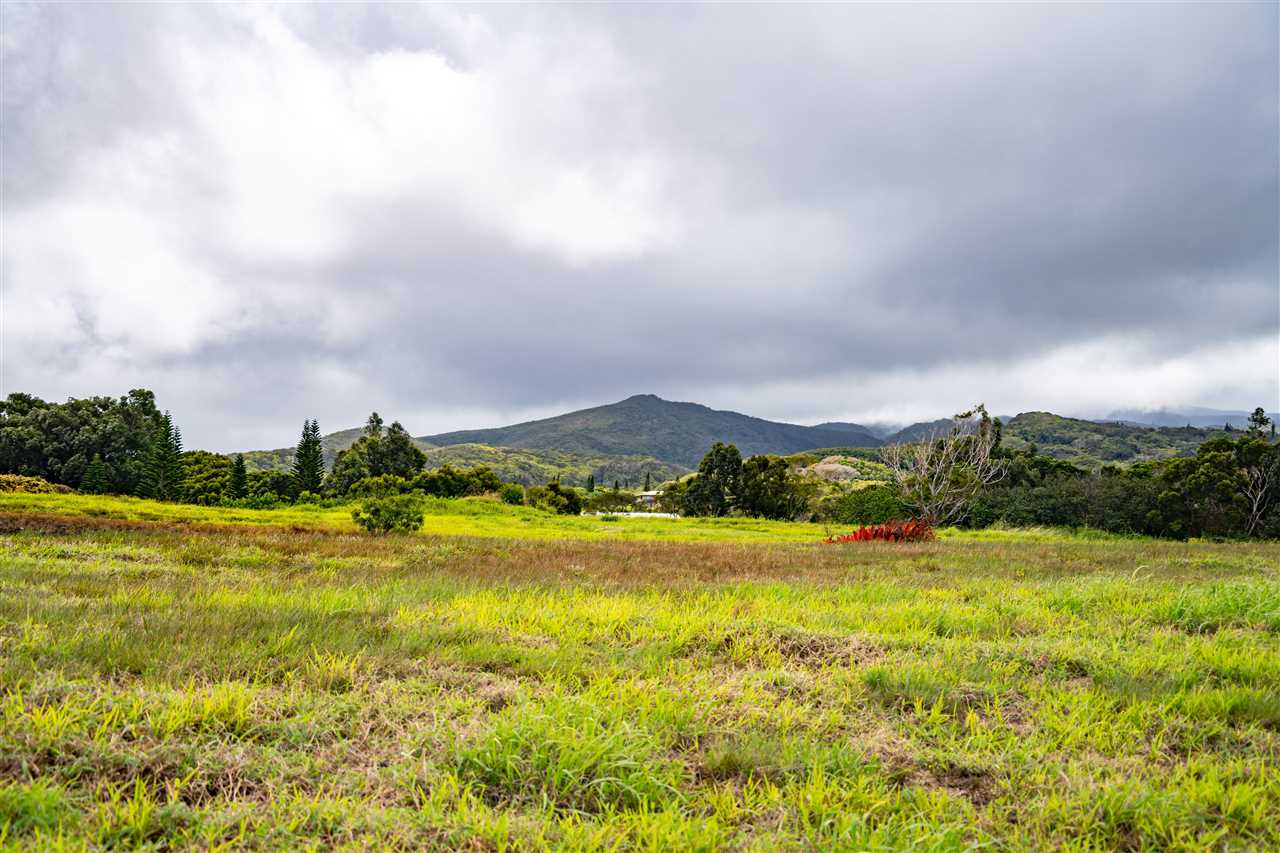234 Keoawa St HR2, Lot 20 Lahaina, Hi vacant land for sale - photo 11 of 19