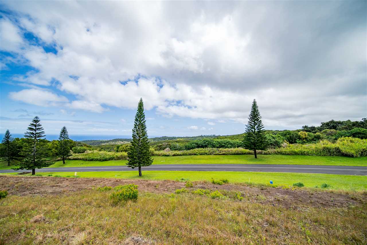 234 Keoawa St HR2, Lot 20 Lahaina, Hi vacant land for sale - photo 13 of 19