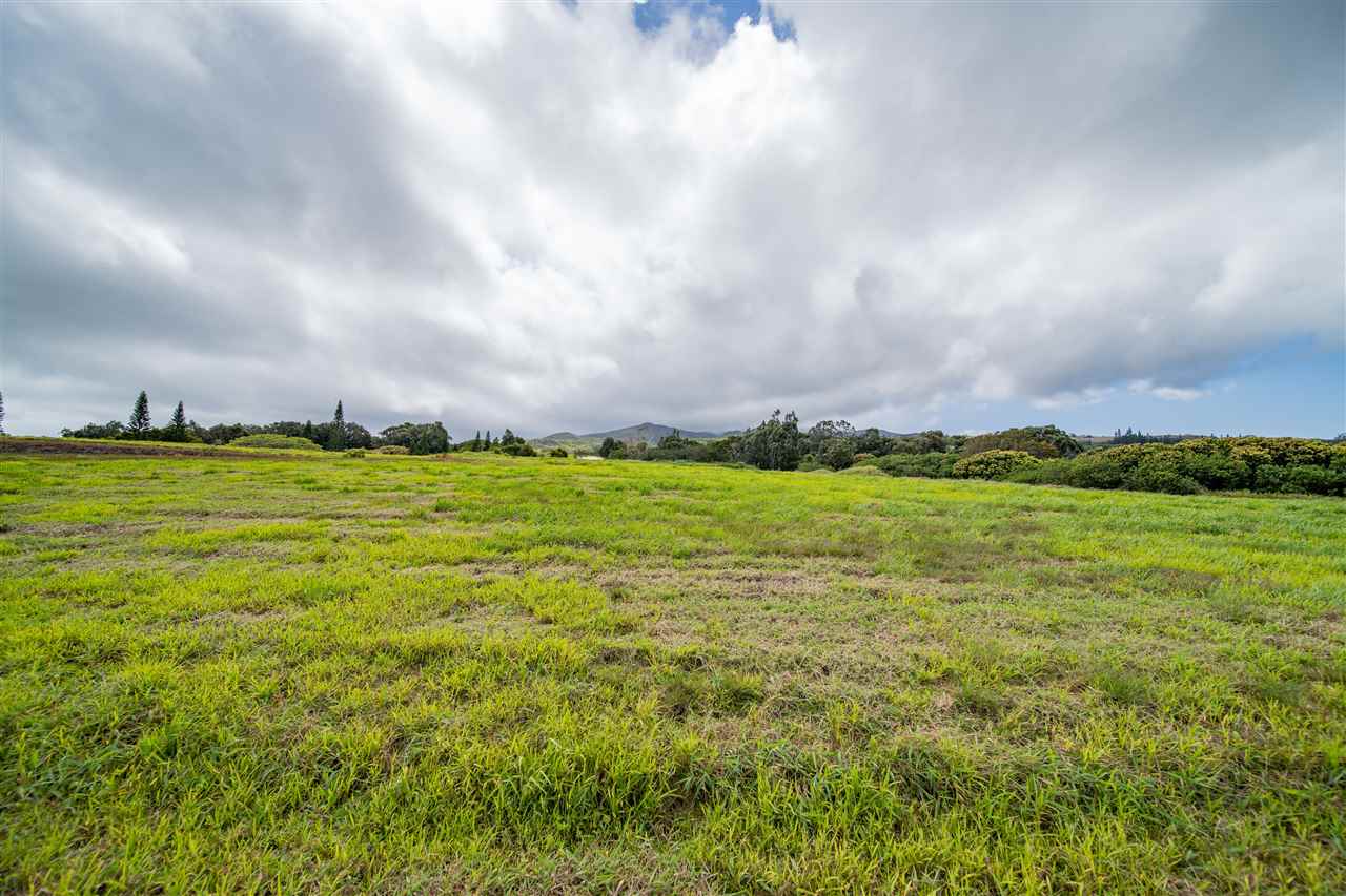 234 Keoawa St HR2, Lot 20 Lahaina, Hi vacant land for sale - photo 14 of 19