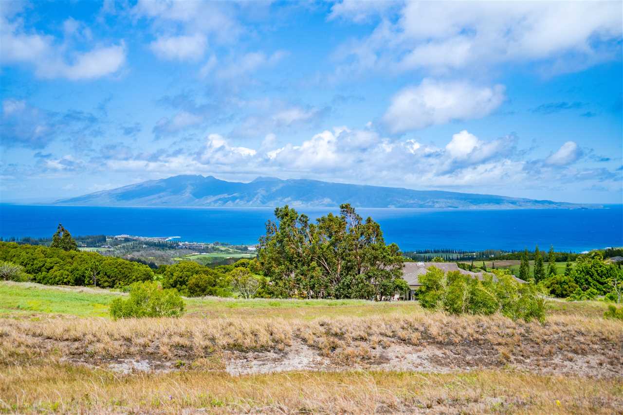 234 Keoawa St HR2, Lot 20 Lahaina, Hi vacant land for sale - photo 3 of 19