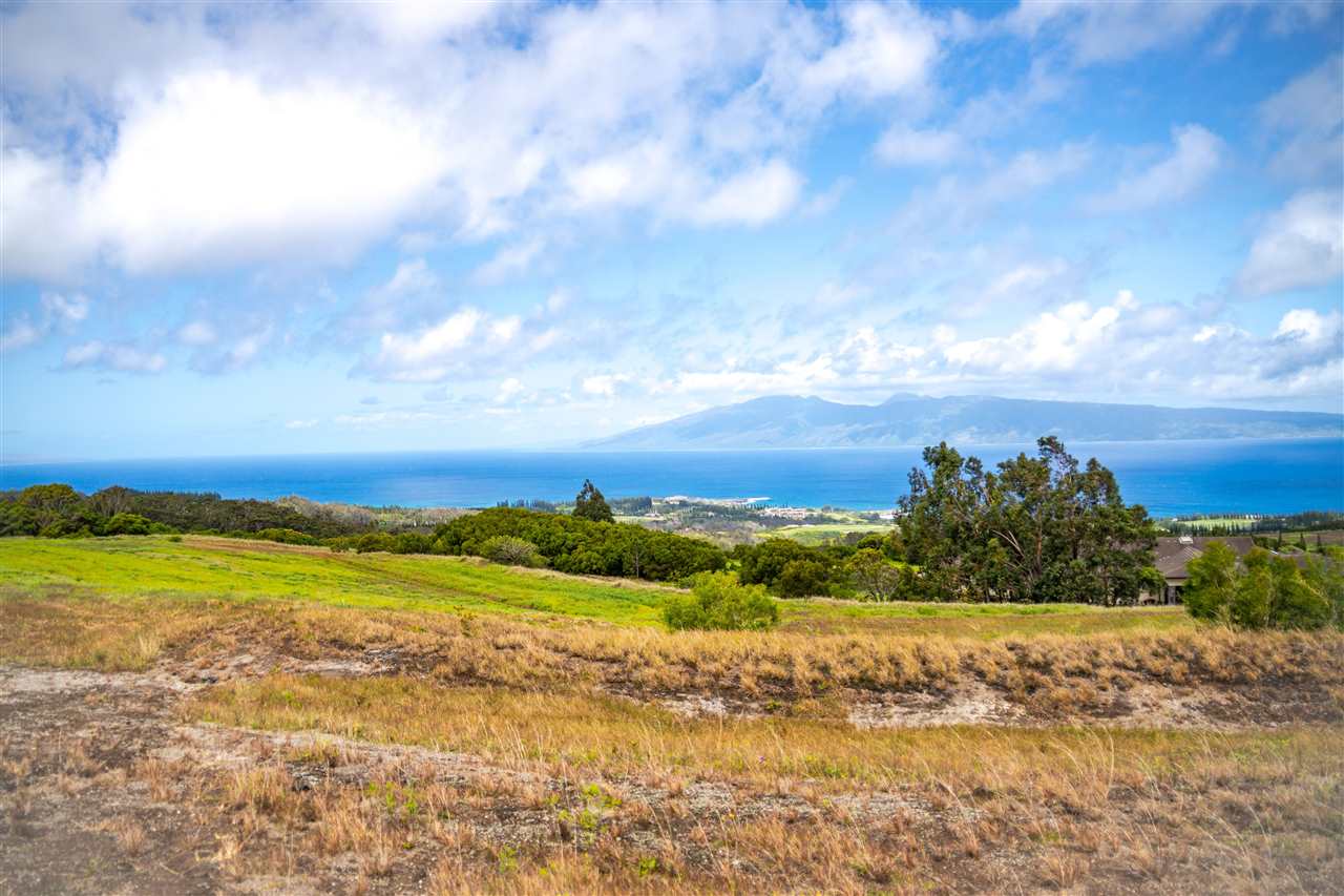 234 Keoawa St HR2, Lot 20 Lahaina, Hi vacant land for sale - photo 4 of 19
