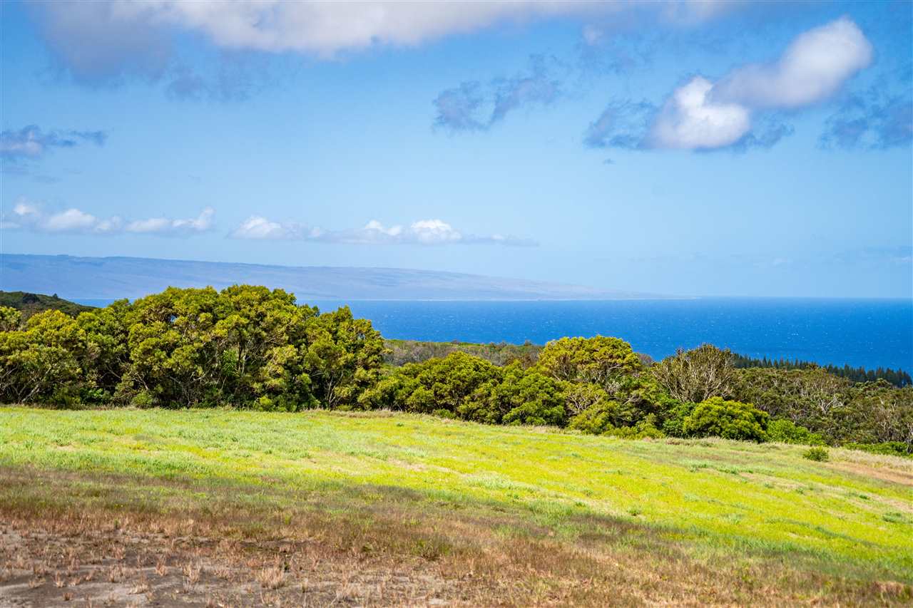 234 Keoawa St HR2, Lot 20 Lahaina, Hi vacant land for sale - photo 9 of 19