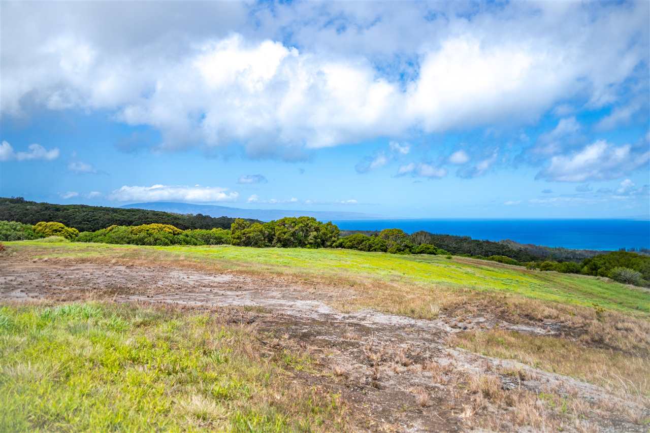 234 Keoawa St HR2, Lot 20 Lahaina, Hi vacant land for sale - photo 10 of 19