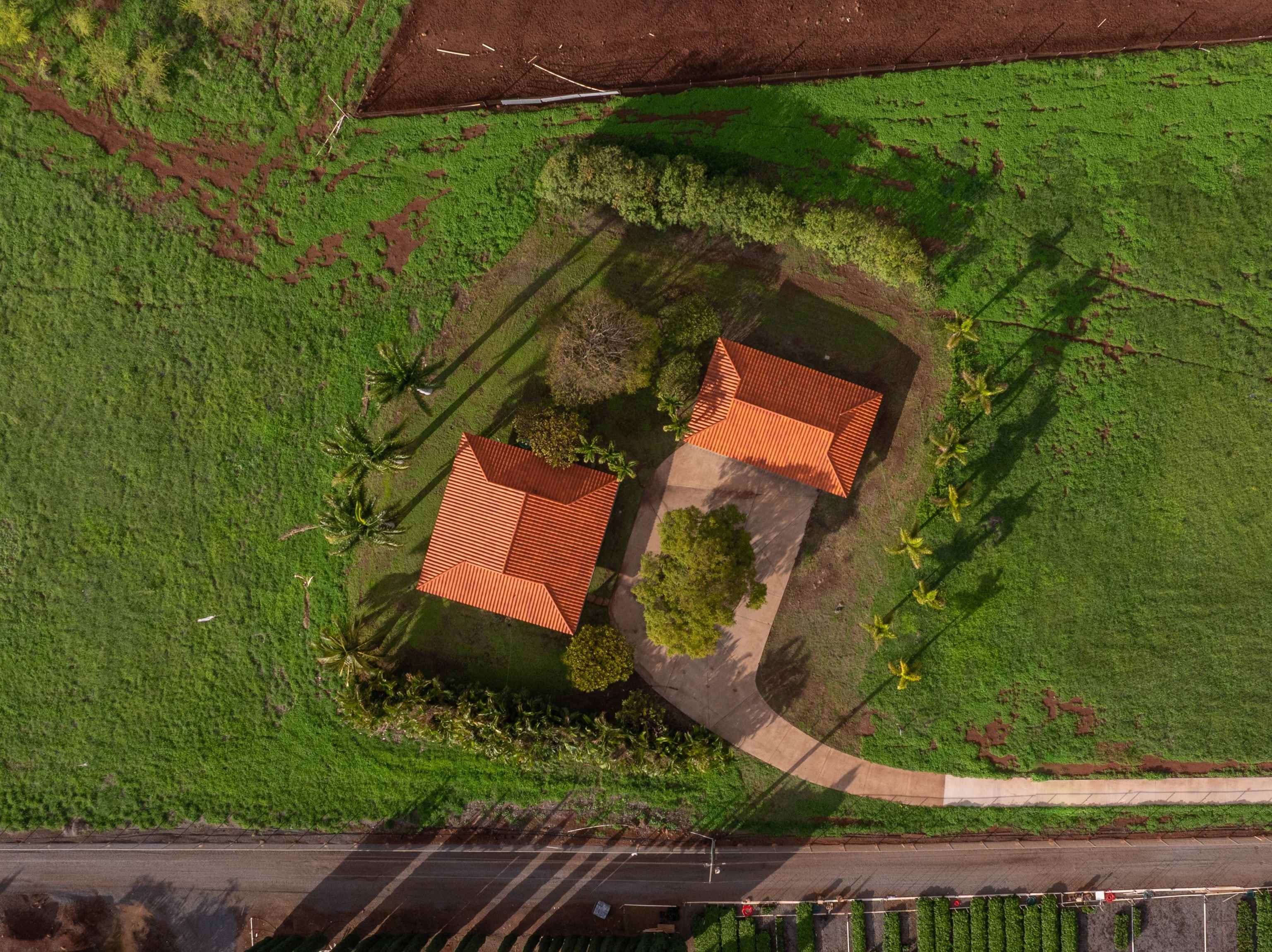 2345  Omaopio Rd Omaopio, Kula/Ulupalakua/Kanaio home - photo 3 of 23