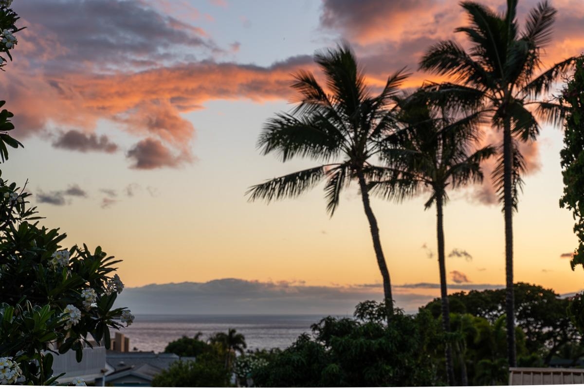 235  Hoohale Pl , Kihei home - photo 38 of 49