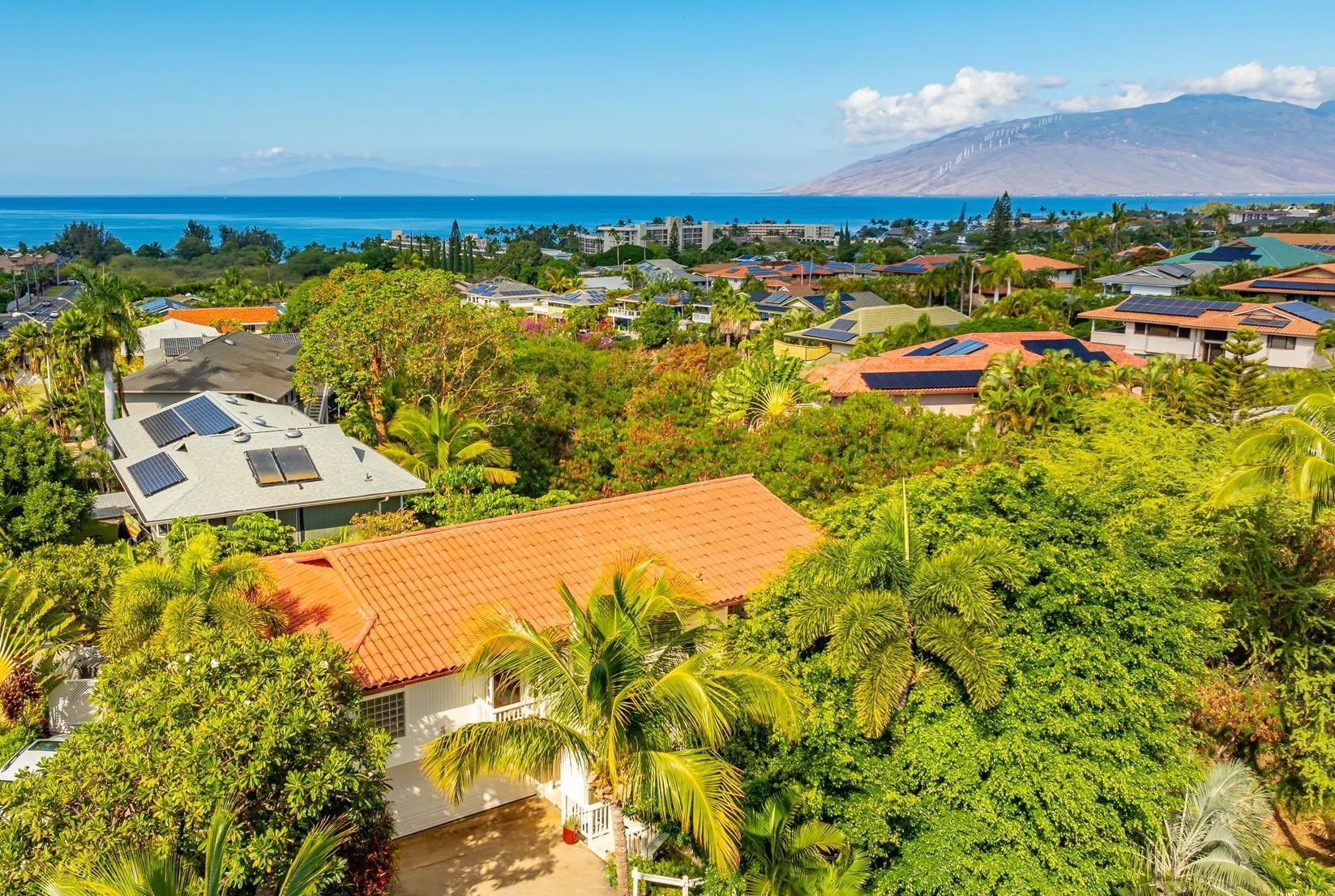 235  Keonekai Rd Keonekai, Kihei home - photo 2 of 50