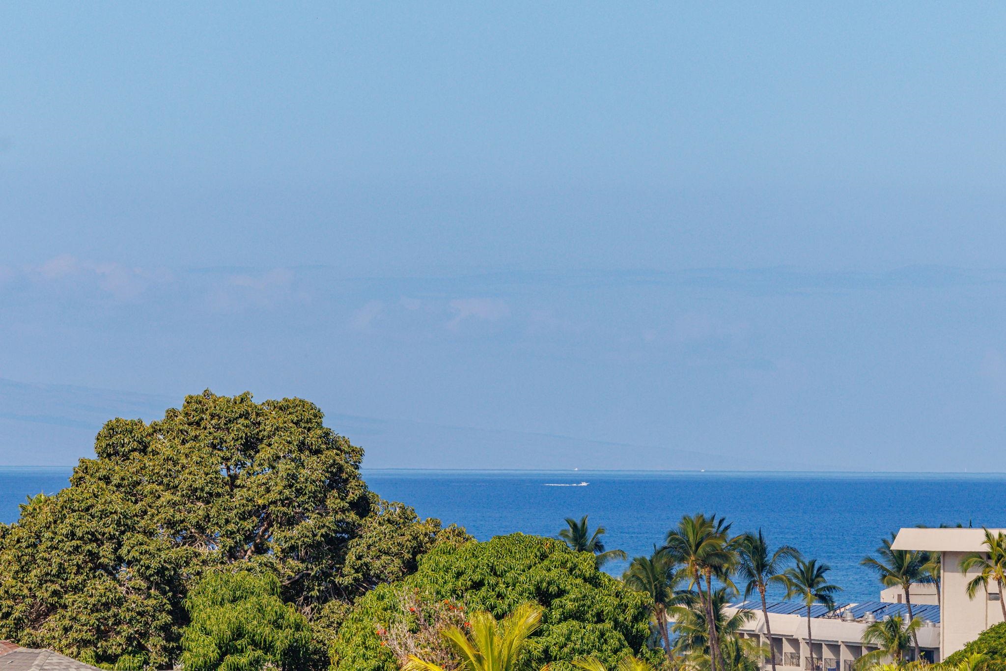 235  Keonekai Rd Keonekai, Kihei home - photo 19 of 50