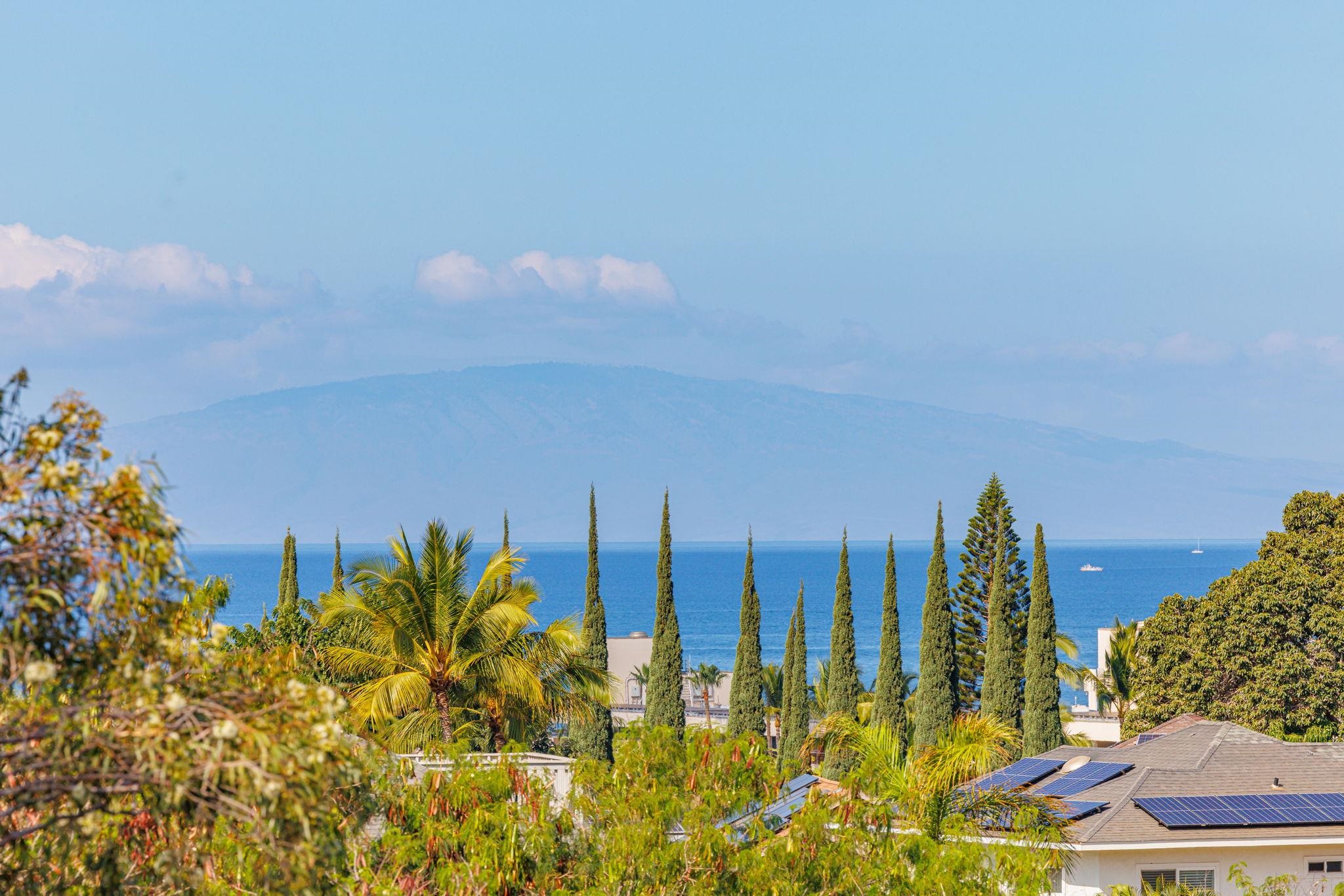 235  Keonekai Rd Keonekai, Kihei home - photo 21 of 50