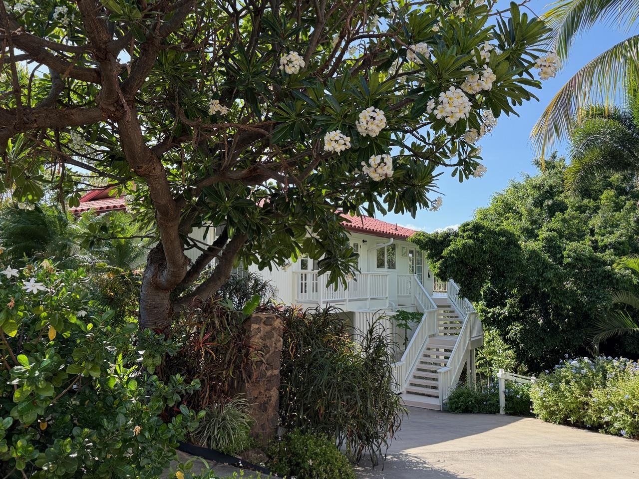 235  Keonekai Rd Keonekai, Kihei home - photo 29 of 32