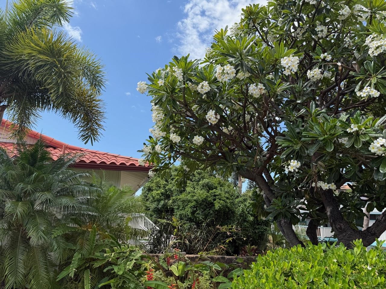 235  Keonekai Rd Keonekai, Kihei home - photo 30 of 32
