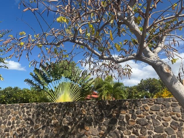 235  Keonekai Rd Keonekai, Kihei home - photo 49 of 50