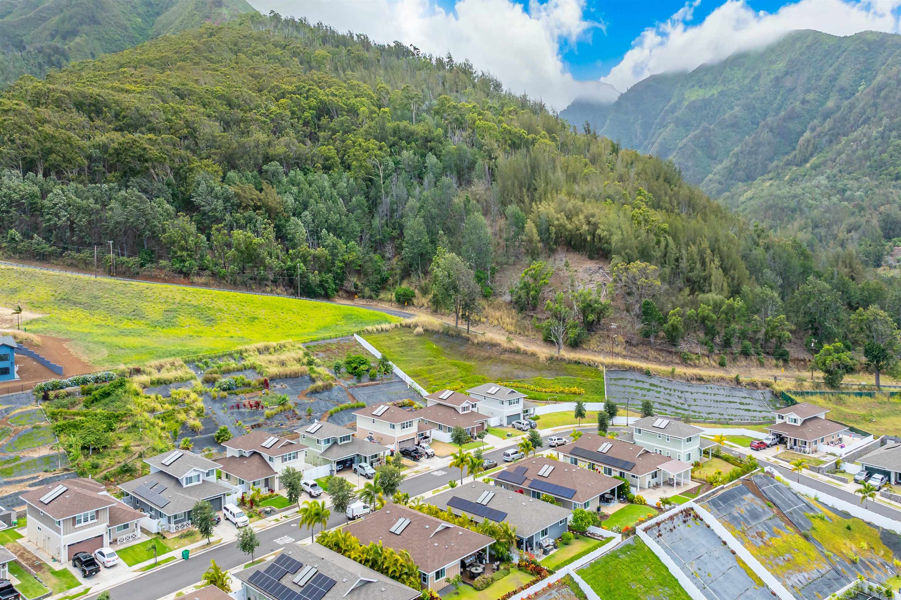 235  Kilioopu St Kehalani, Wailuku home - photo 30 of 31