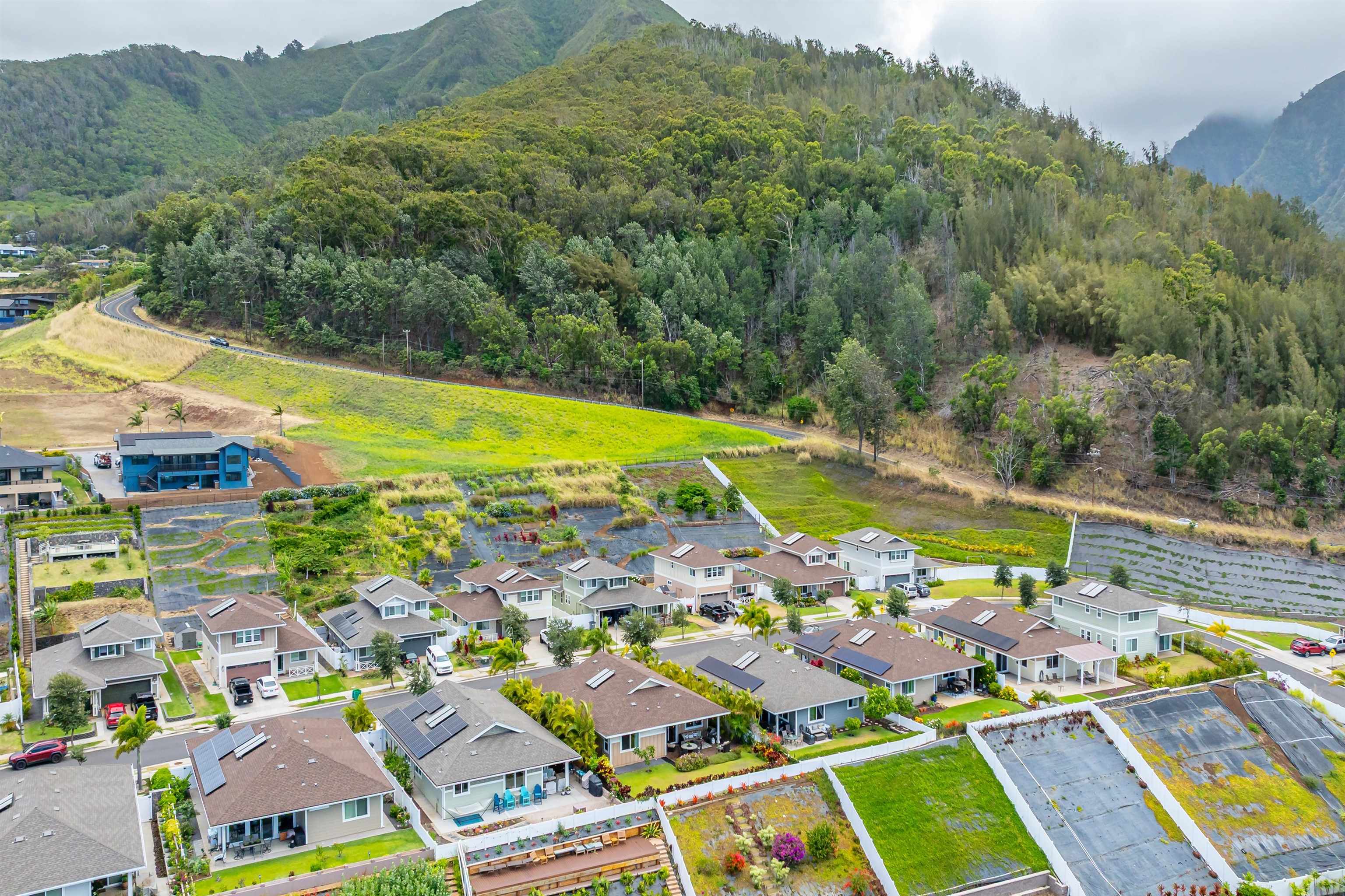 235  Kilioopu St Kehalani, Wailuku home - photo 31 of 31
