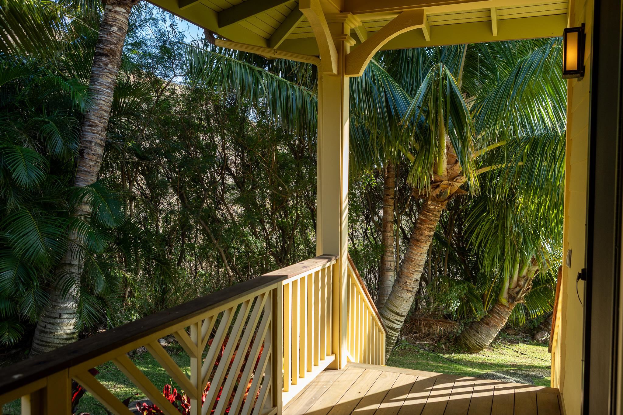 235  Wailau Pl Launiupoko, Lahaina home - photo 29 of 41