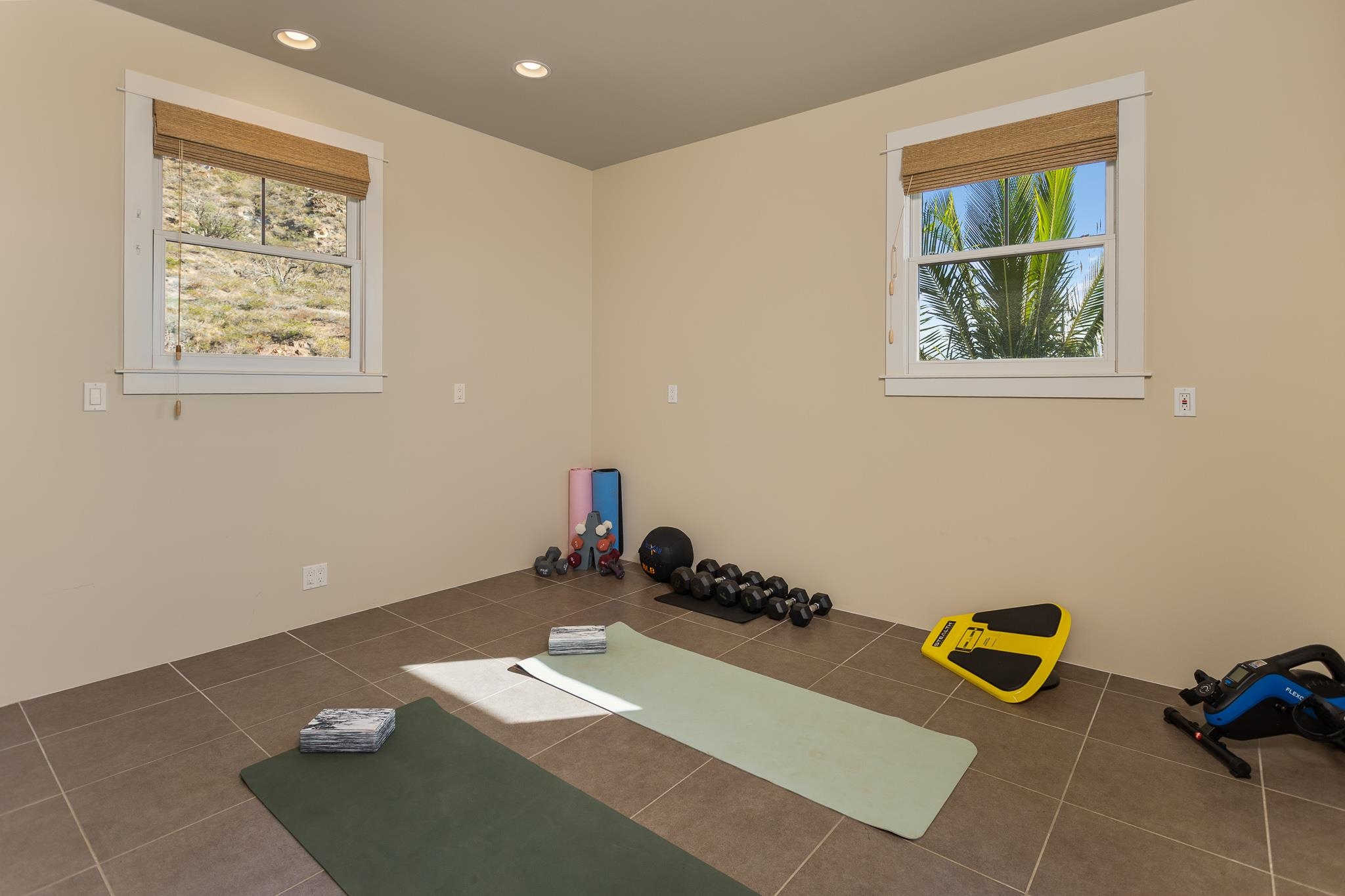 235  Wailau Pl Launiupoko, Lahaina home - photo 37 of 41