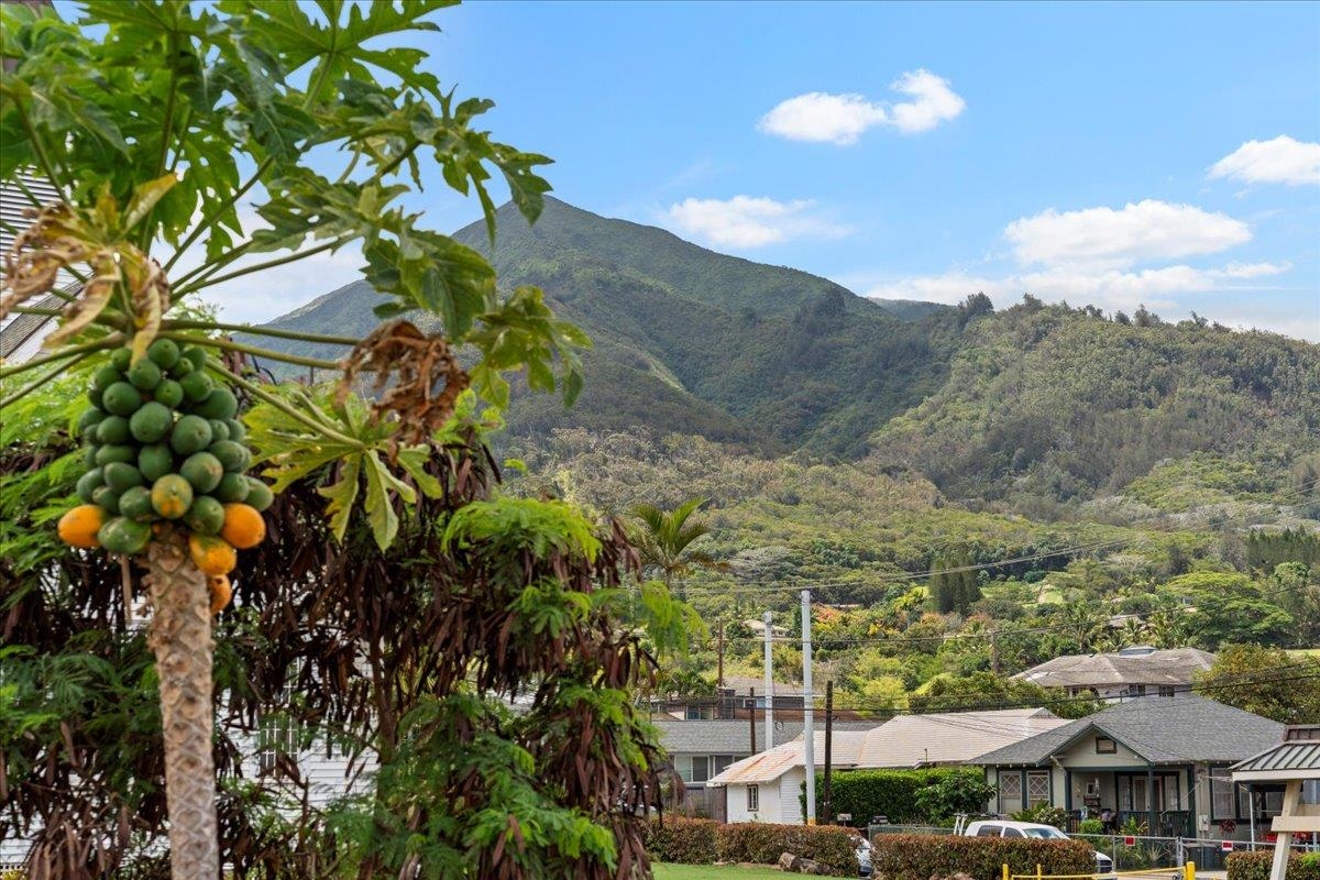 2350  Main St Wailuku Town, Wailuku home - photo 37 of 48