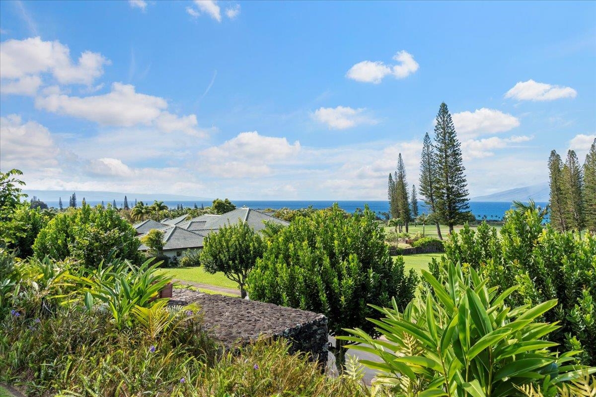 238  Crestview Rd , Kapalua home - photo 22 of 48
