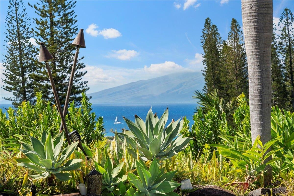 238  Crestview Rd , Kapalua home - photo 23 of 48