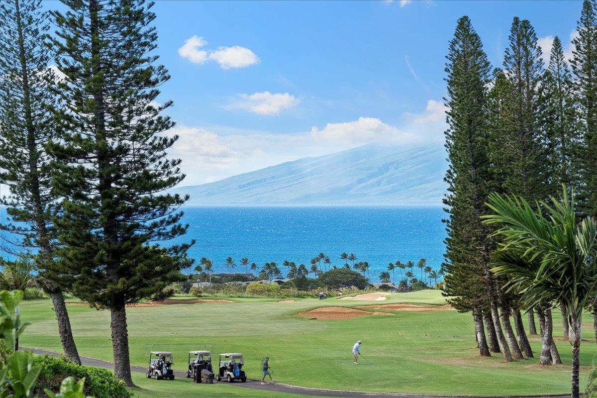 238  Crestview Rd , Kapalua home - photo 8 of 48