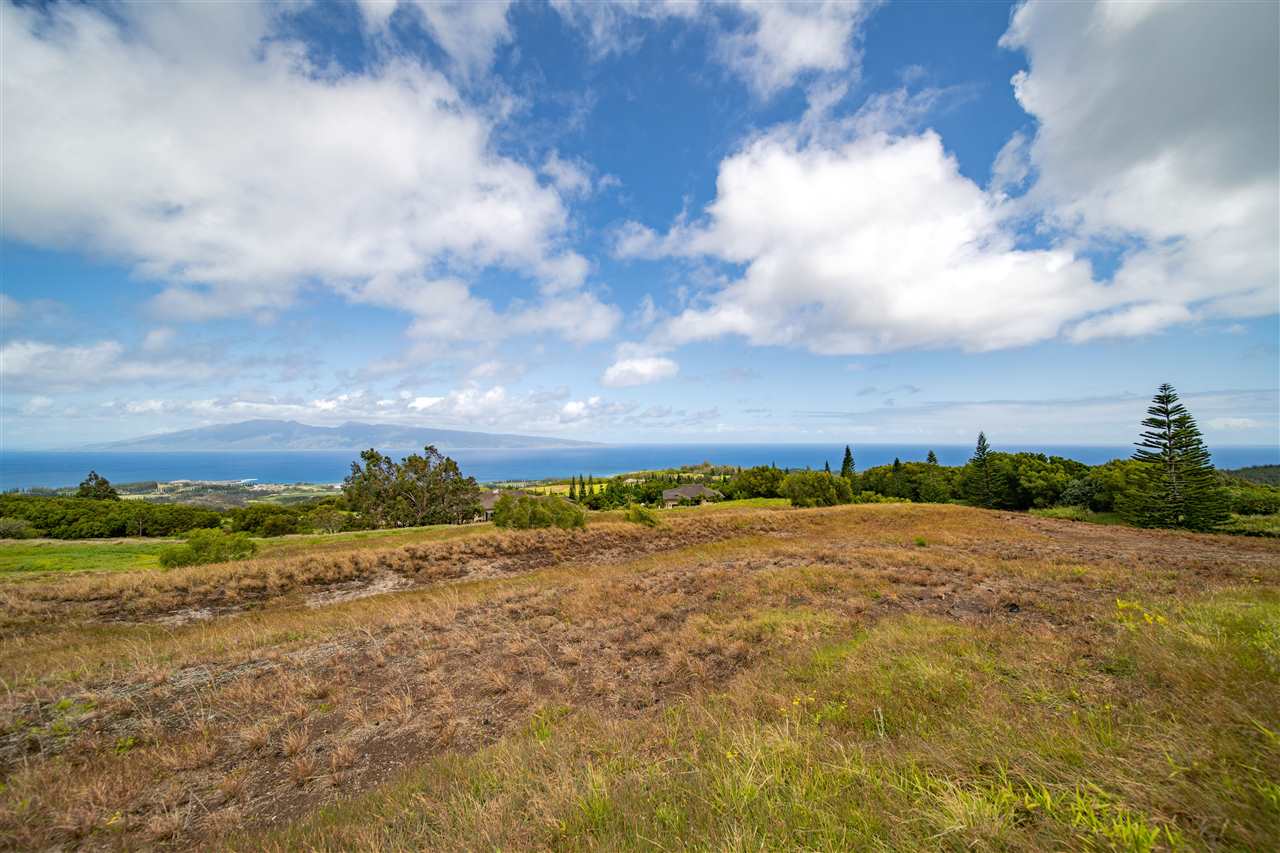 238 Keoawa St HR2, Lot 21 Lahaina, Hi vacant land for sale - photo 7 of 22