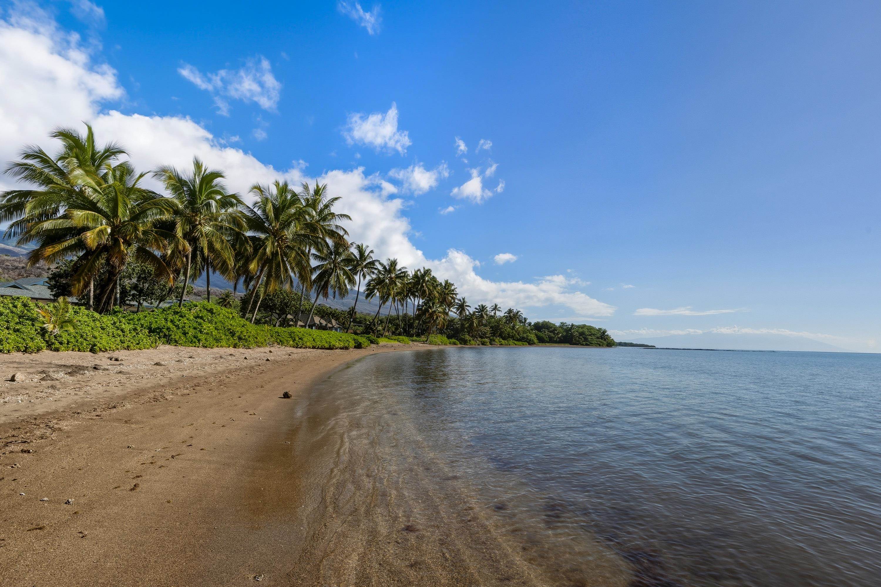 2380  Kamehameha V Hwy , Molokai home - photo 12 of 50