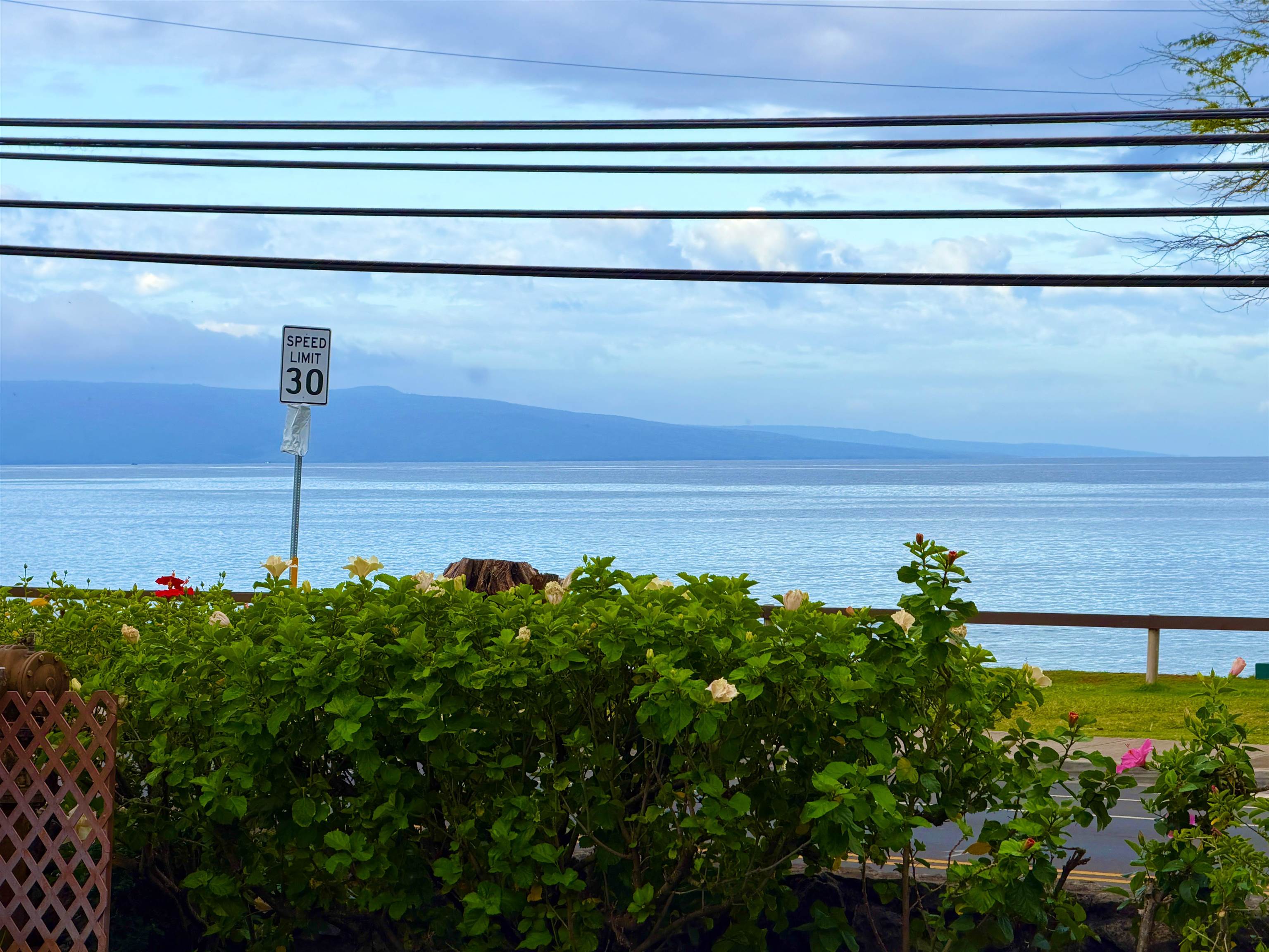 Kamaole Beach Club condo # C-108, Kihei, Hawaii - photo 26 of 39