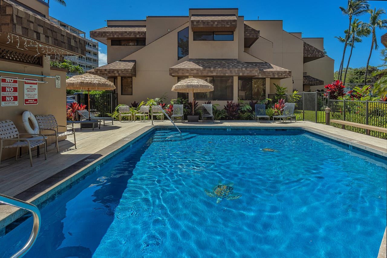 Kamaole Beach Club condo # C-108, Kihei, Hawaii - photo 28 of 39