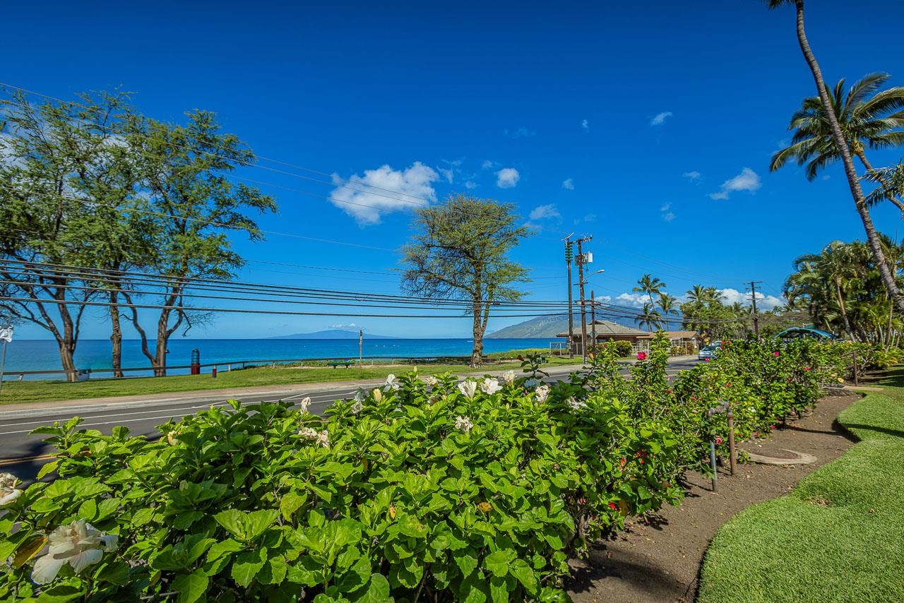 Kamaole Beach Club condo # C-108, Kihei, Hawaii - photo 31 of 39