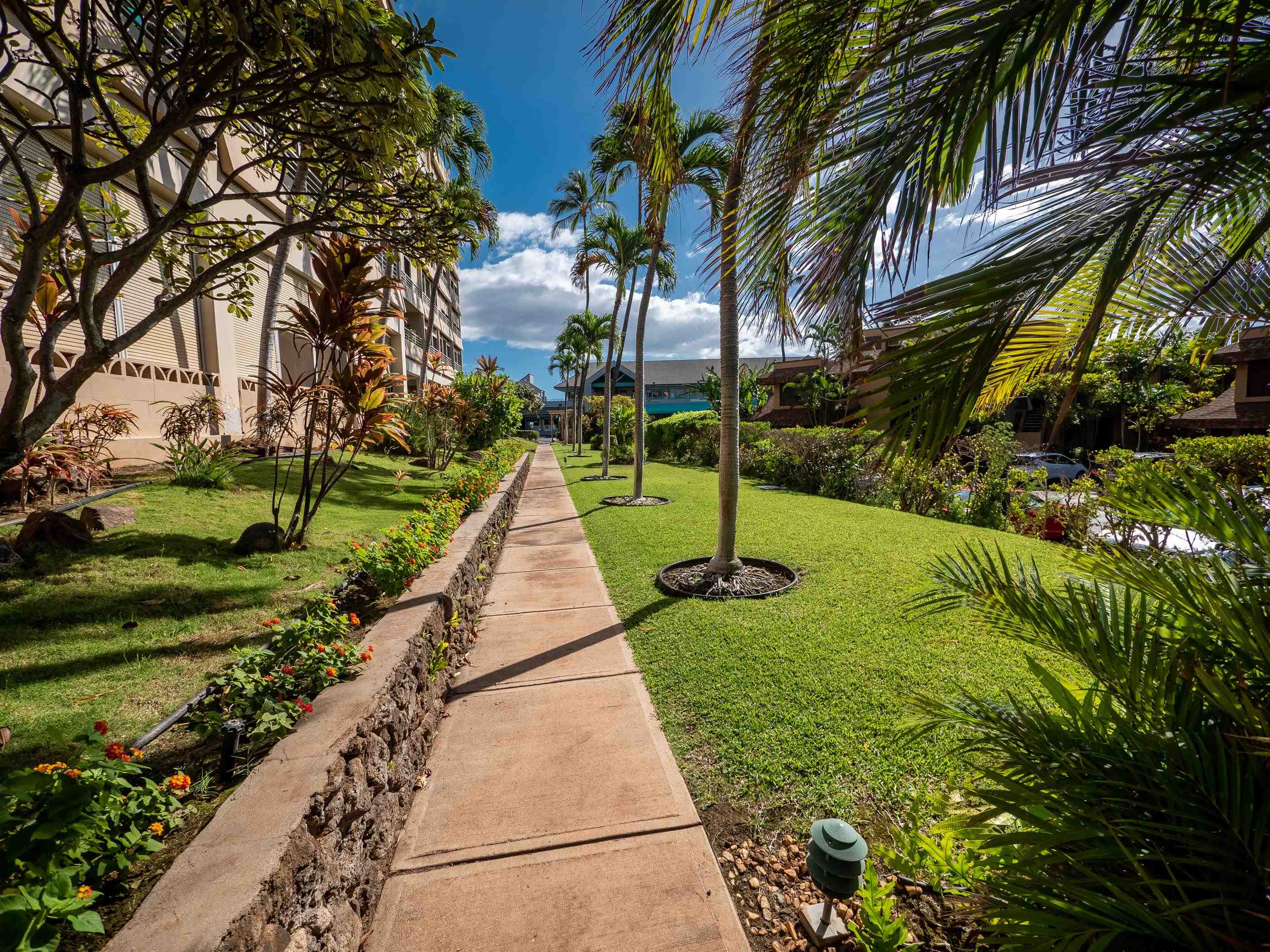 Kamaole Beach Royale condo # 210, Kihei, Hawaii - photo 25 of 50