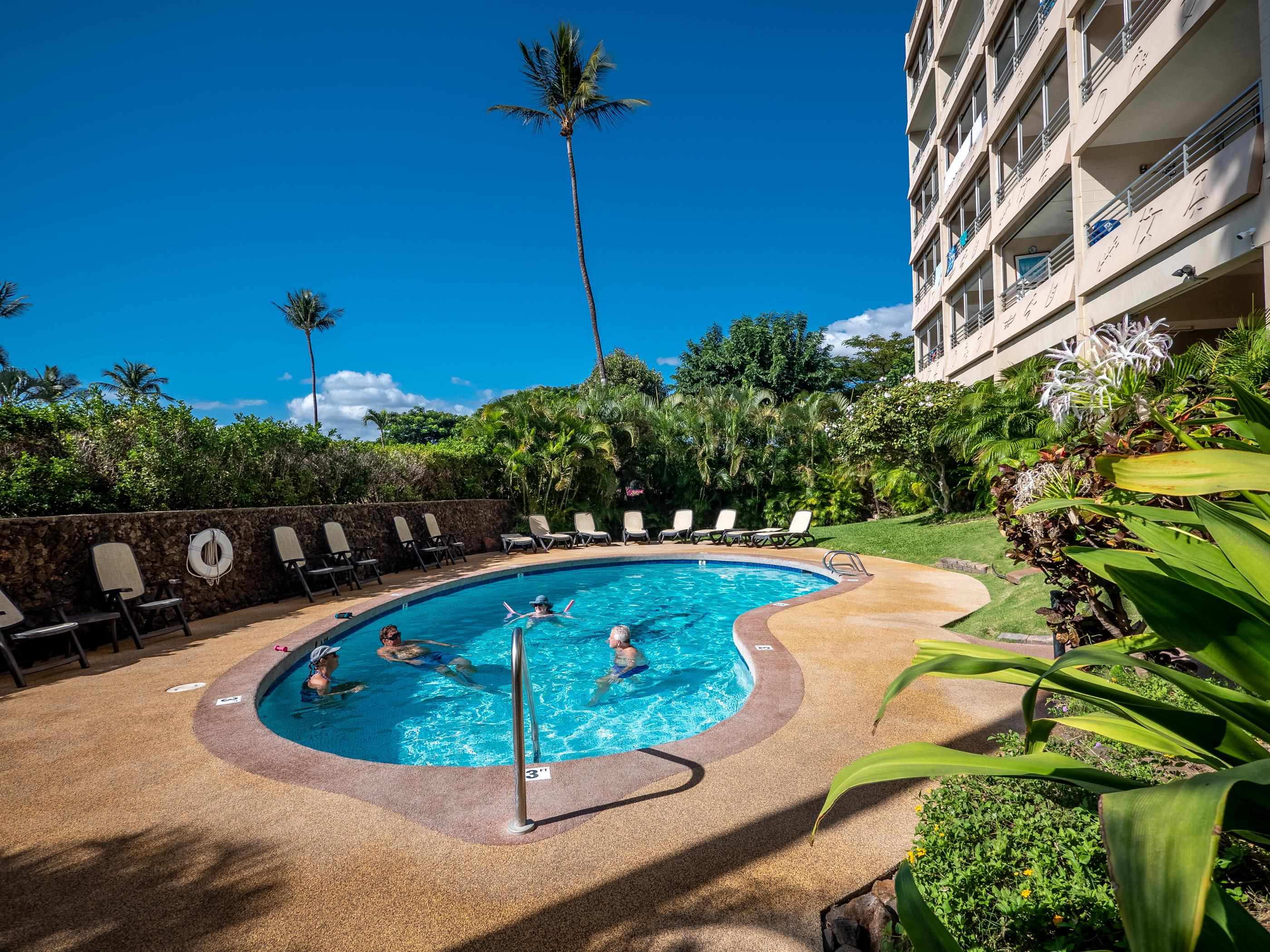 Kamaole Beach Royale condo # 210, Kihei, Hawaii - photo 27 of 50